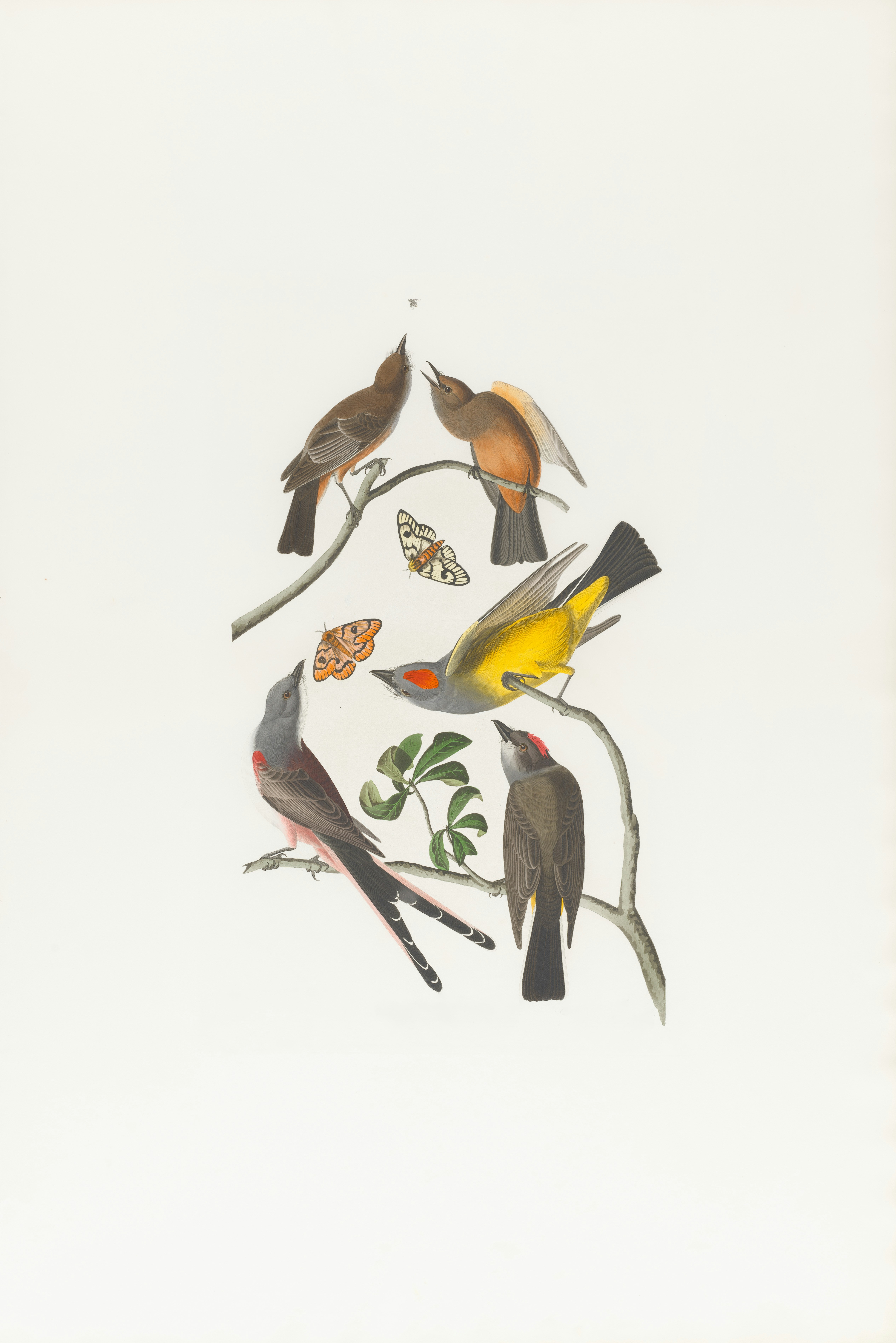 Photo by bostonpubliclibrary