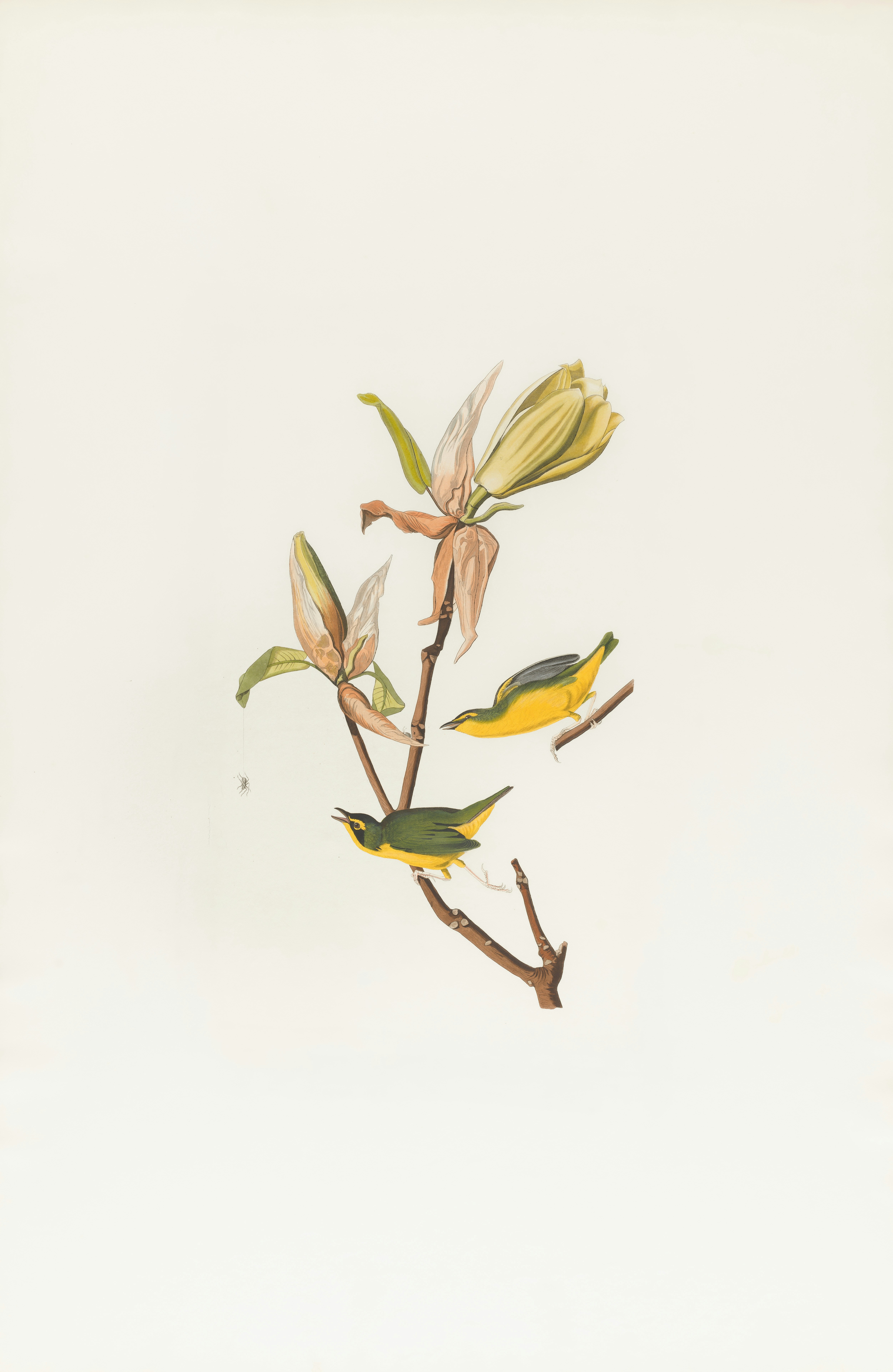 Photo by bostonpubliclibrary