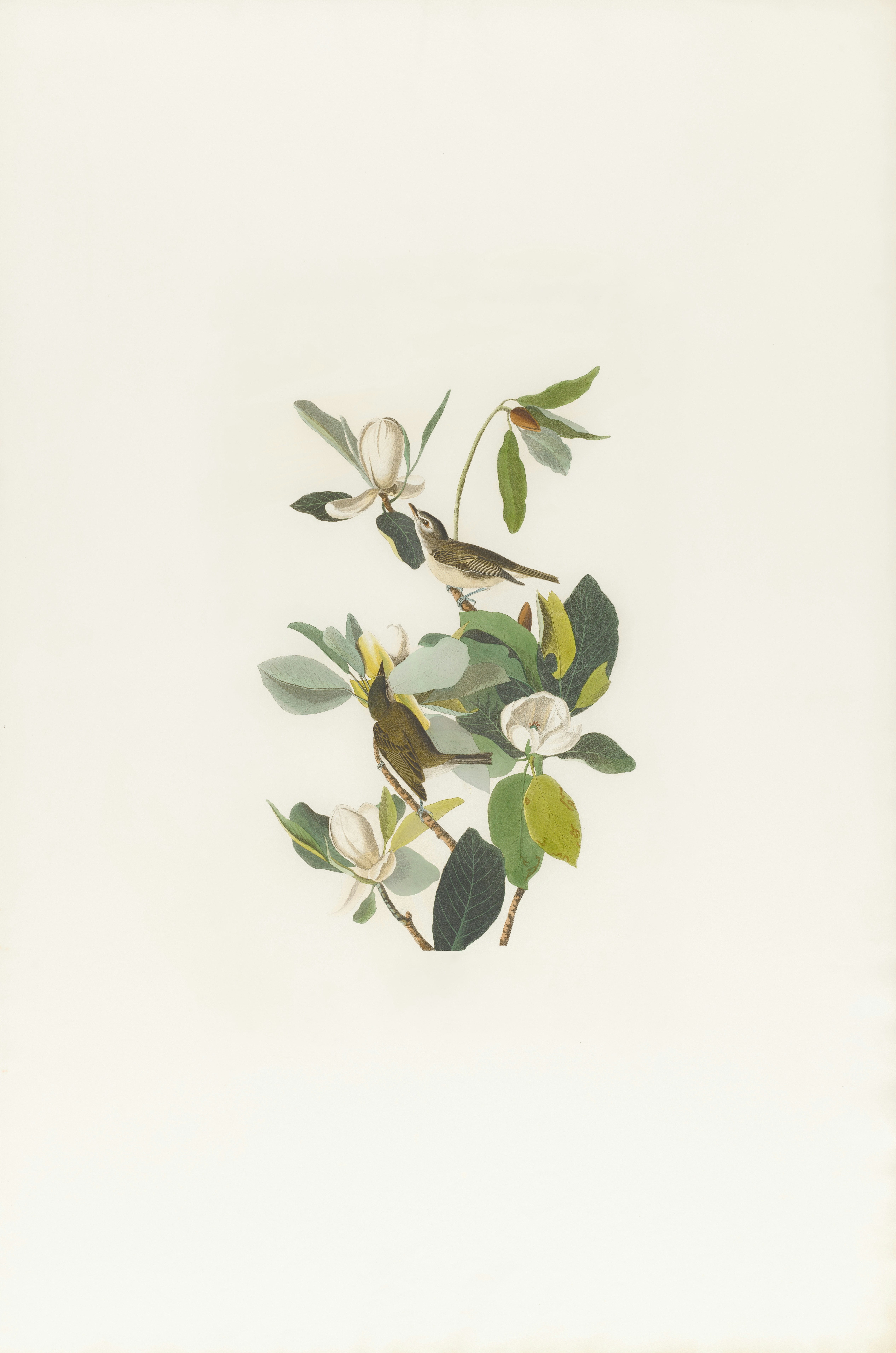 Photo by bostonpubliclibrary