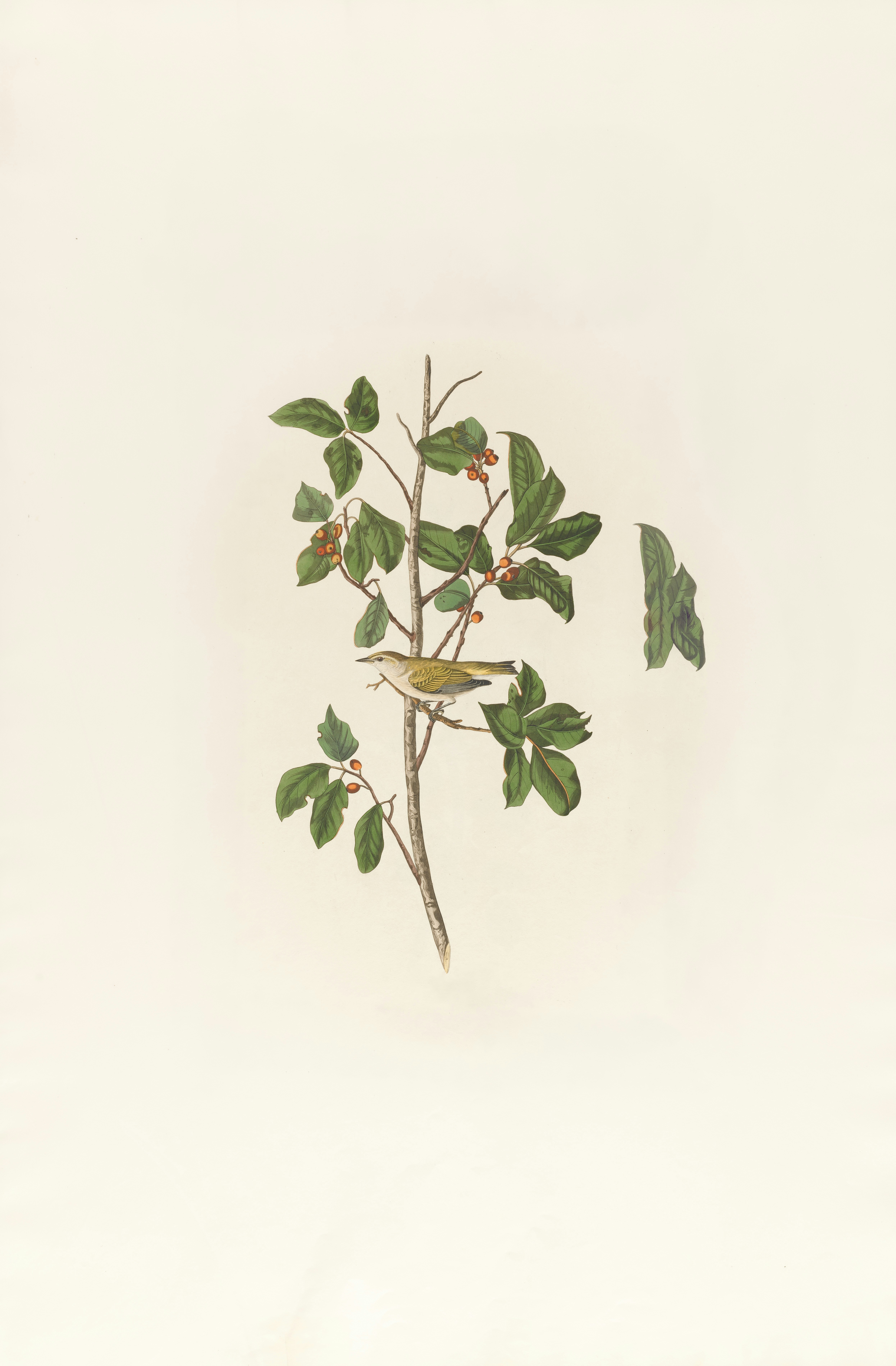 Photo by bostonpubliclibrary