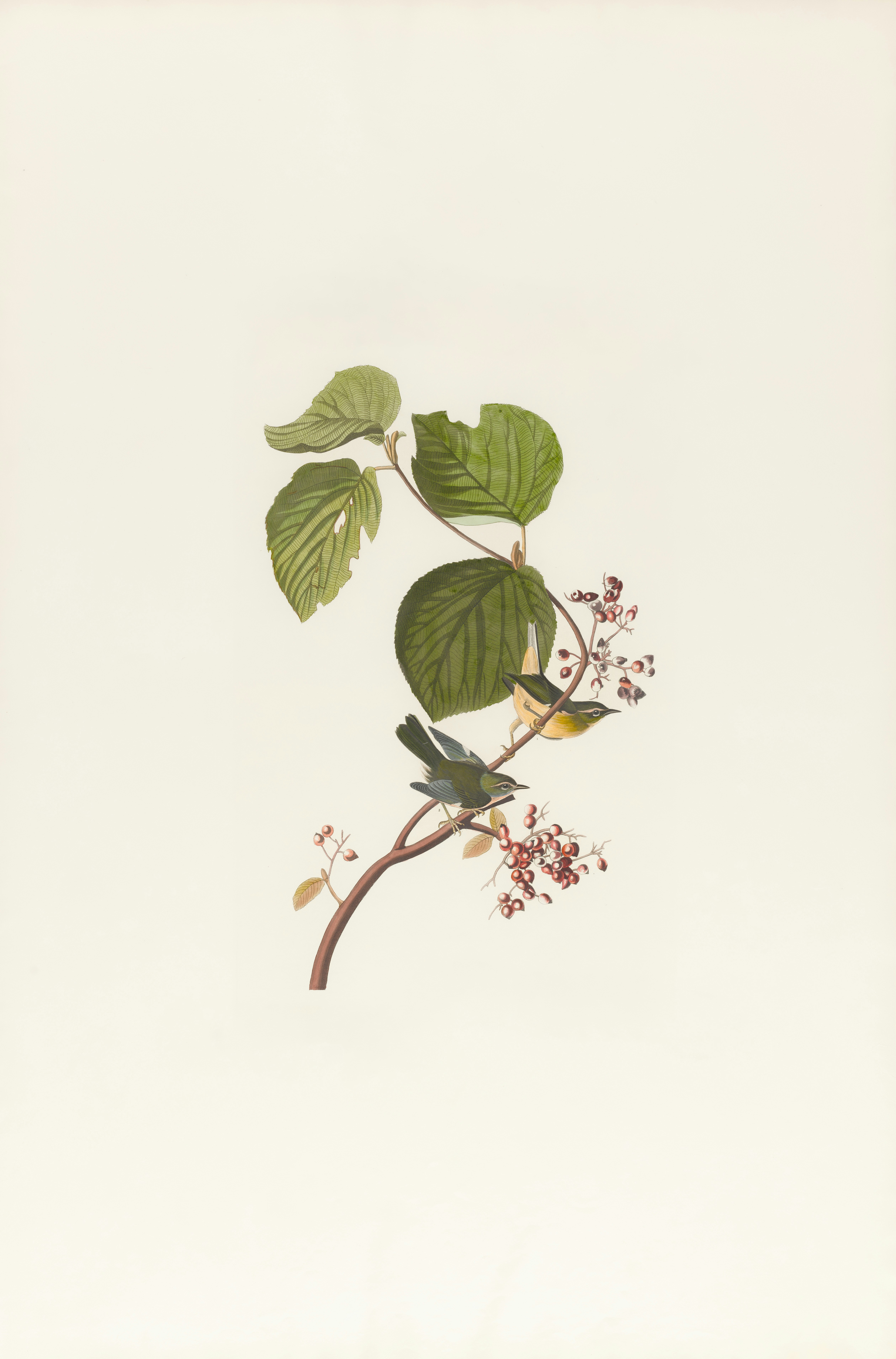 Photo by bostonpubliclibrary