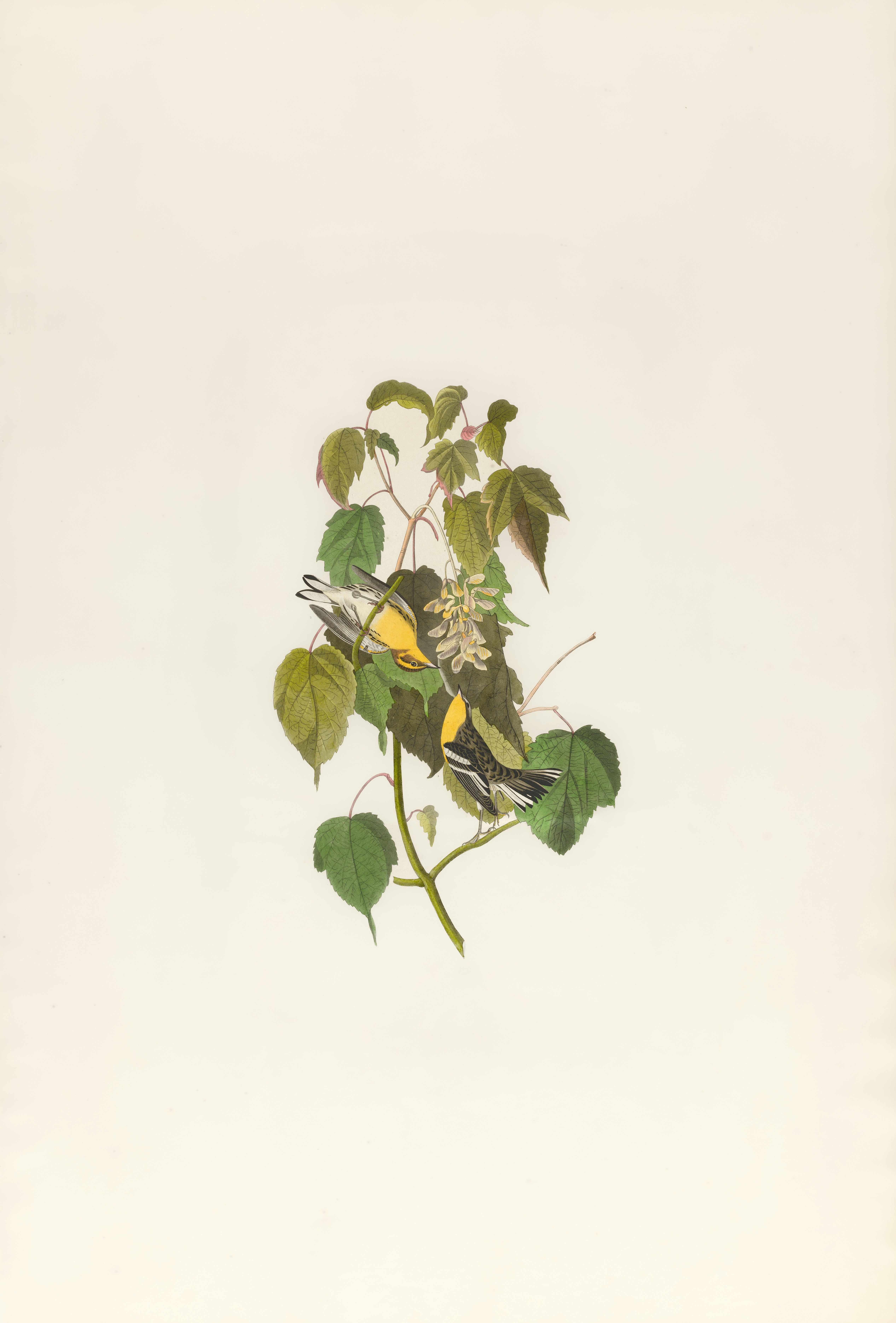 Photo by bostonpubliclibrary