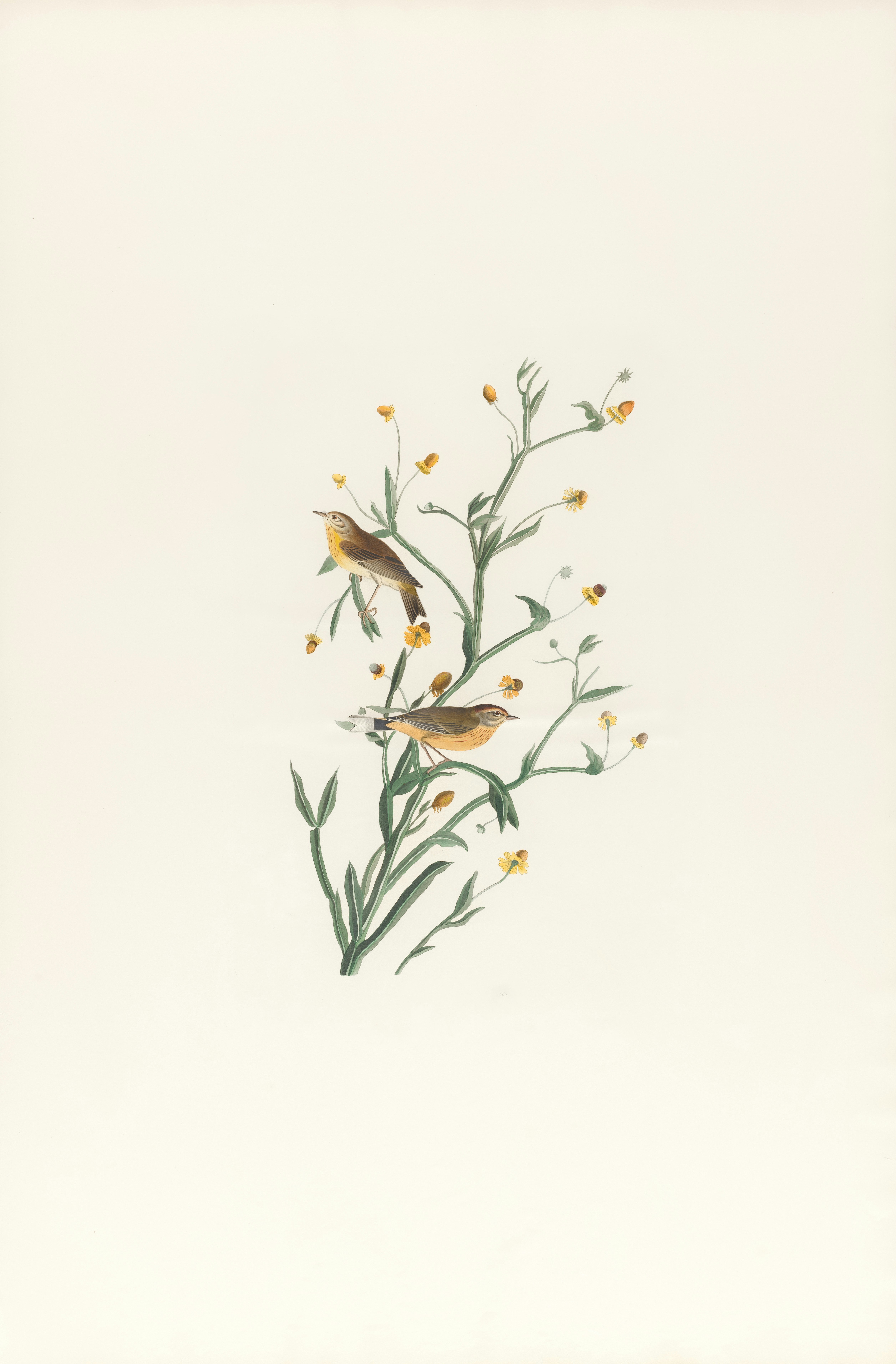 Photo by bostonpubliclibrary