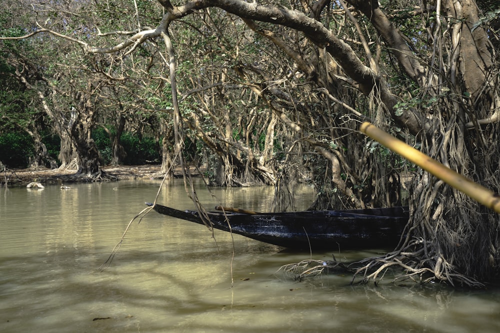 a boat in the middle of a swampy area