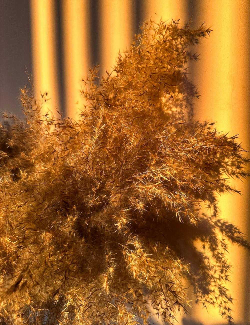 a vase filled with lots of yellow flowers