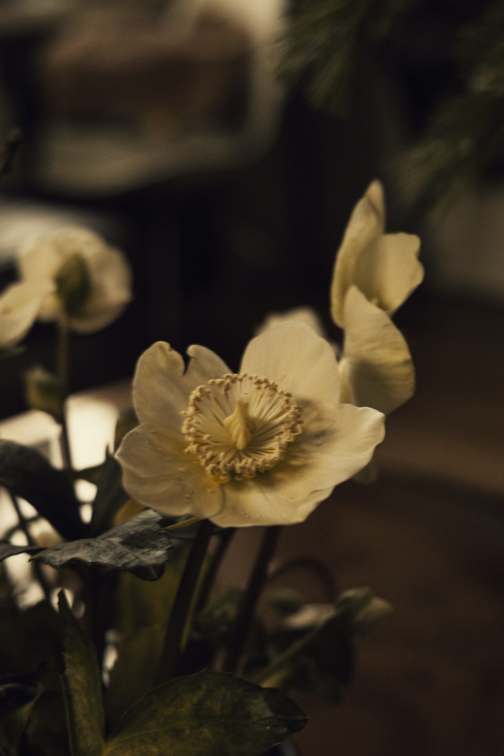 a vase filled with yellow flowers on top of a table