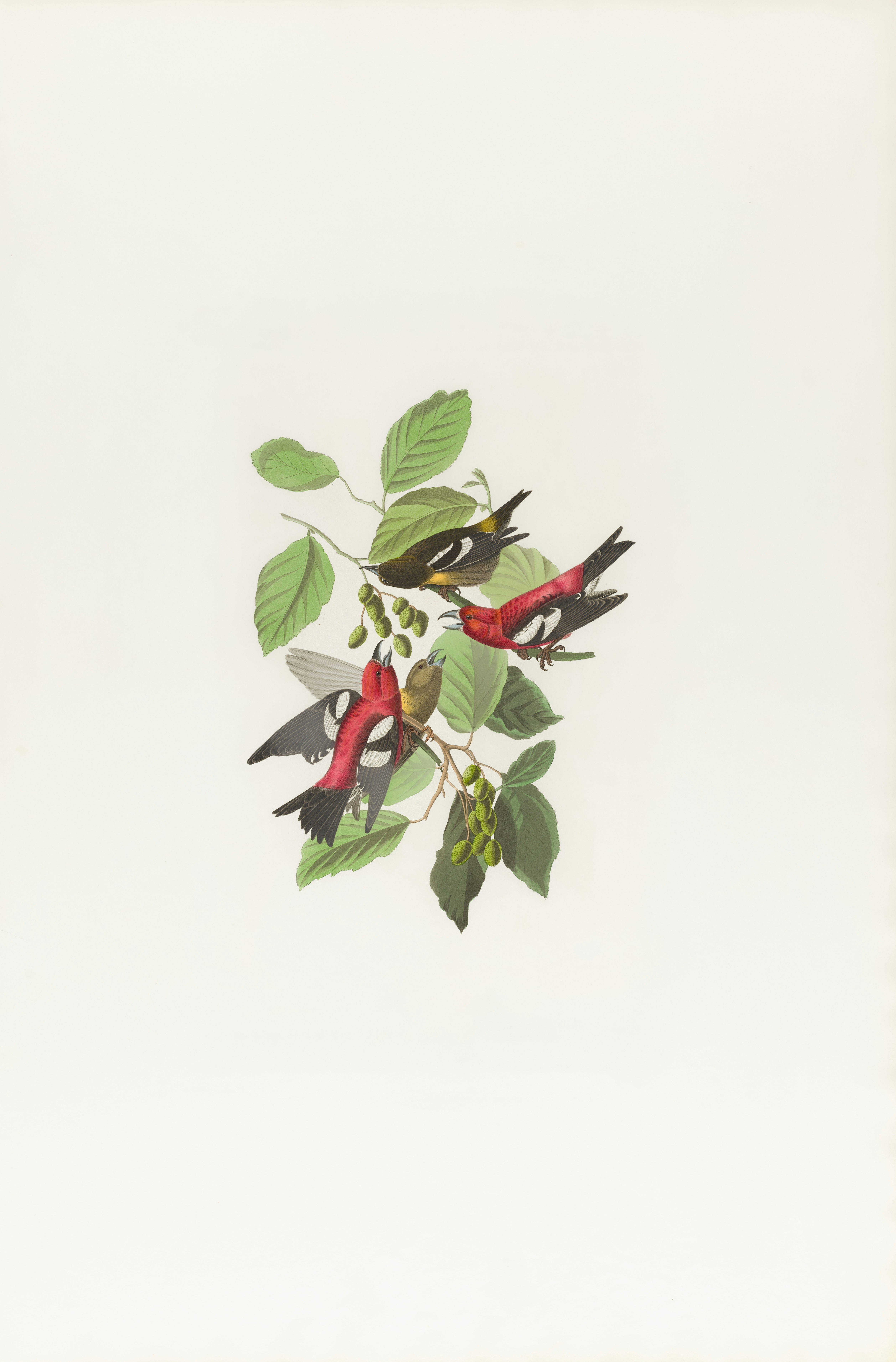 Photo by bostonpubliclibrary