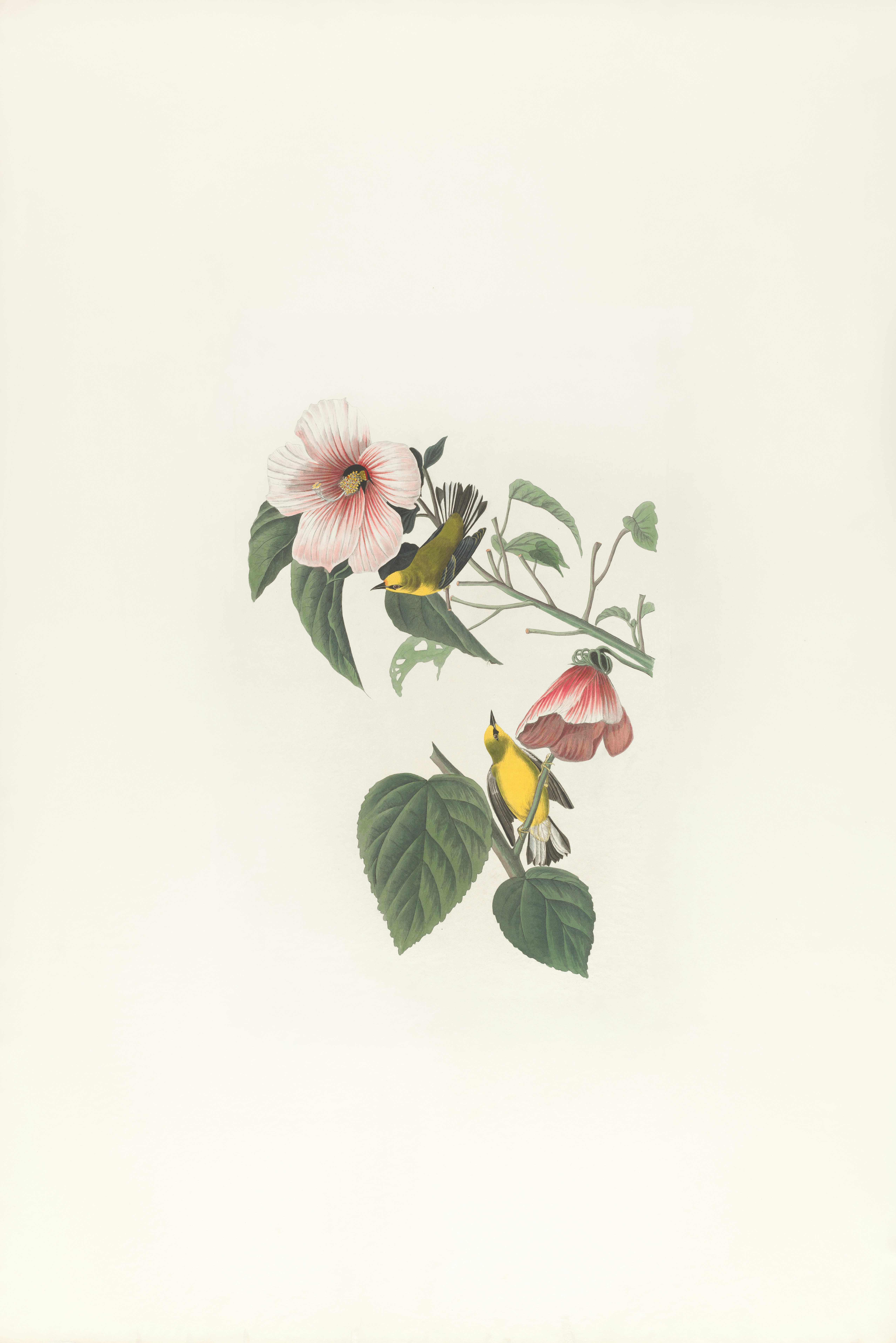 Photo by bostonpubliclibrary