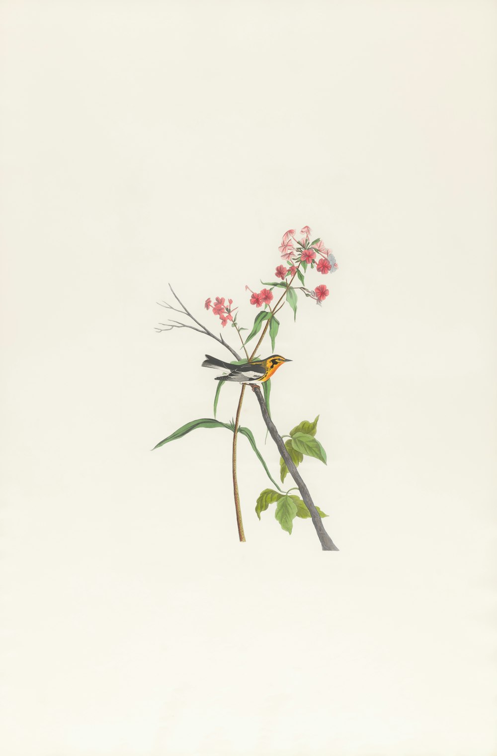 a painting of a bird on a branch with flowers