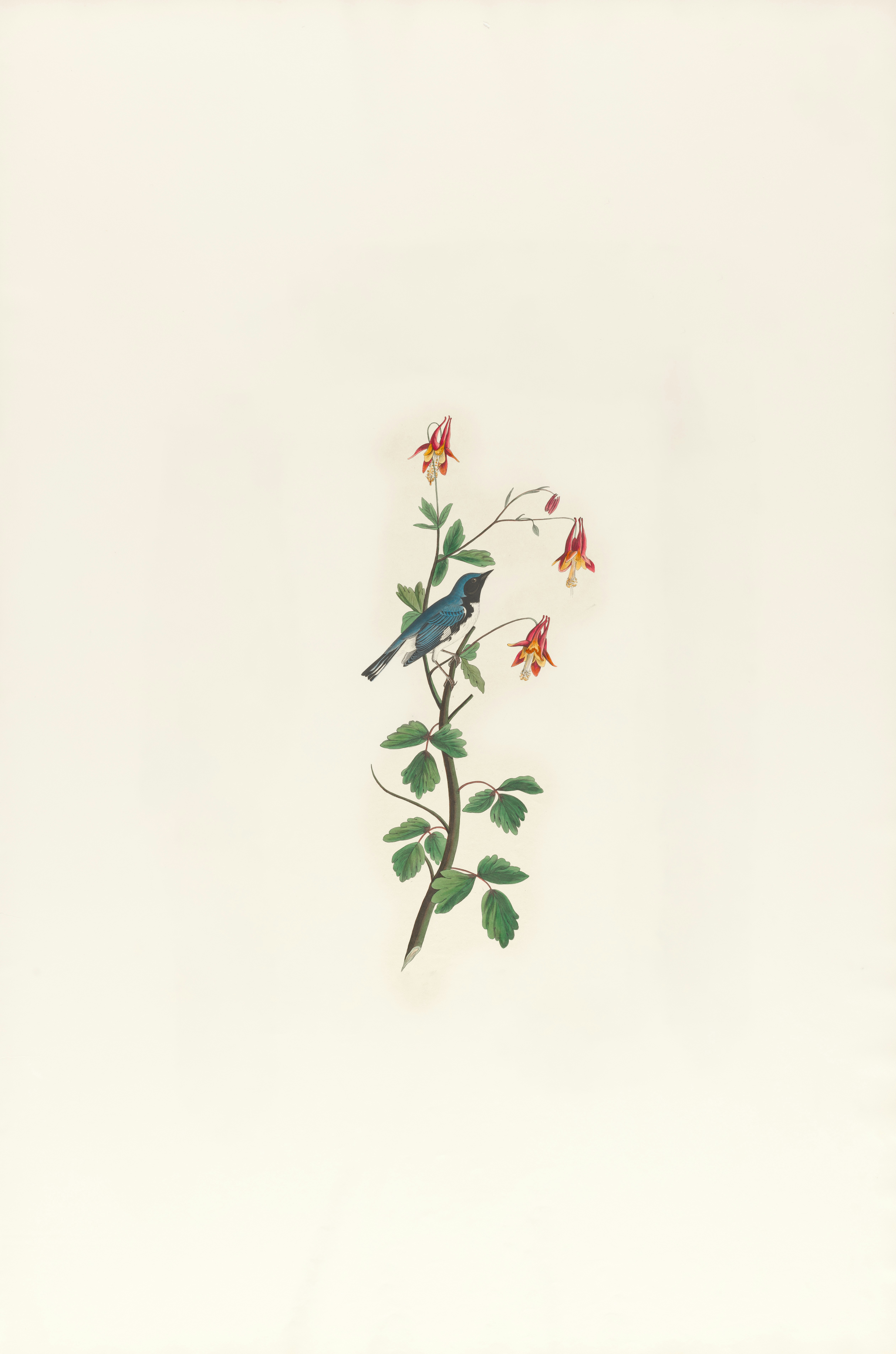 Photo by bostonpubliclibrary