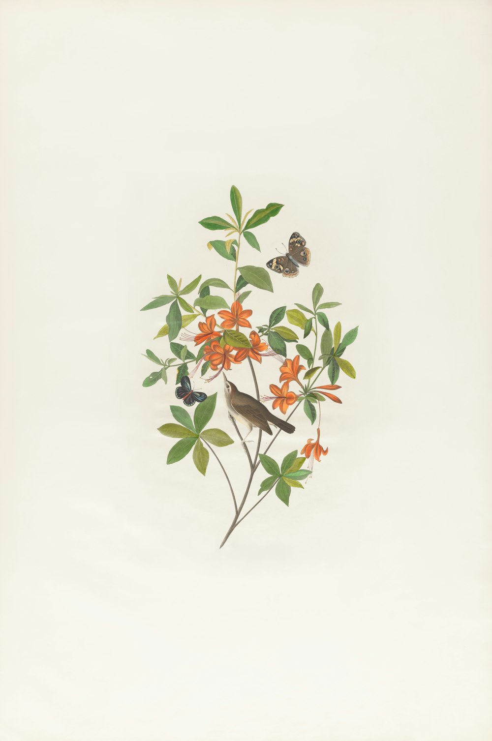 ein Gemälde eines Vogels auf einem Zweig mit orangefarbenen Blüten