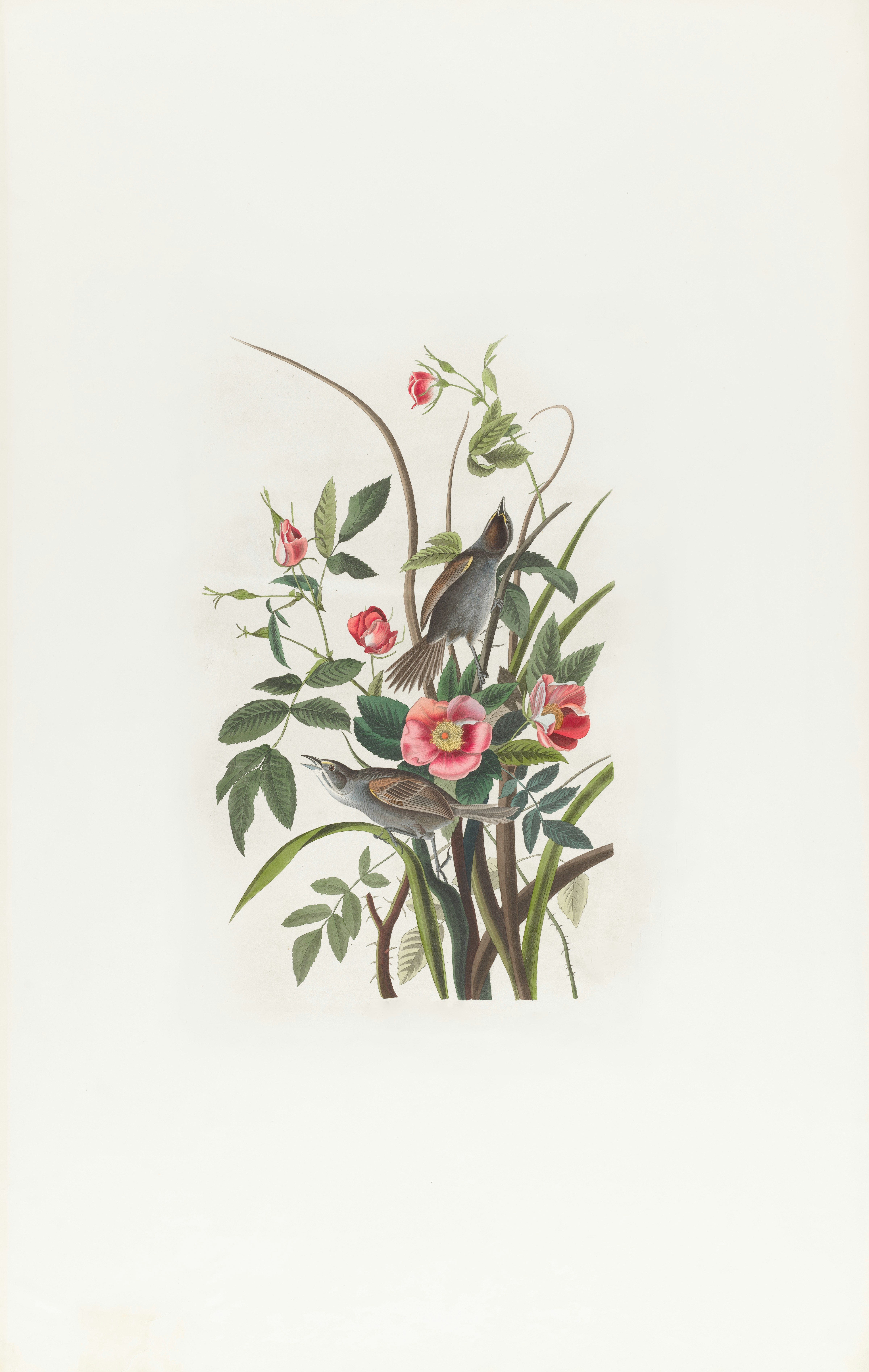 Photo by bostonpubliclibrary