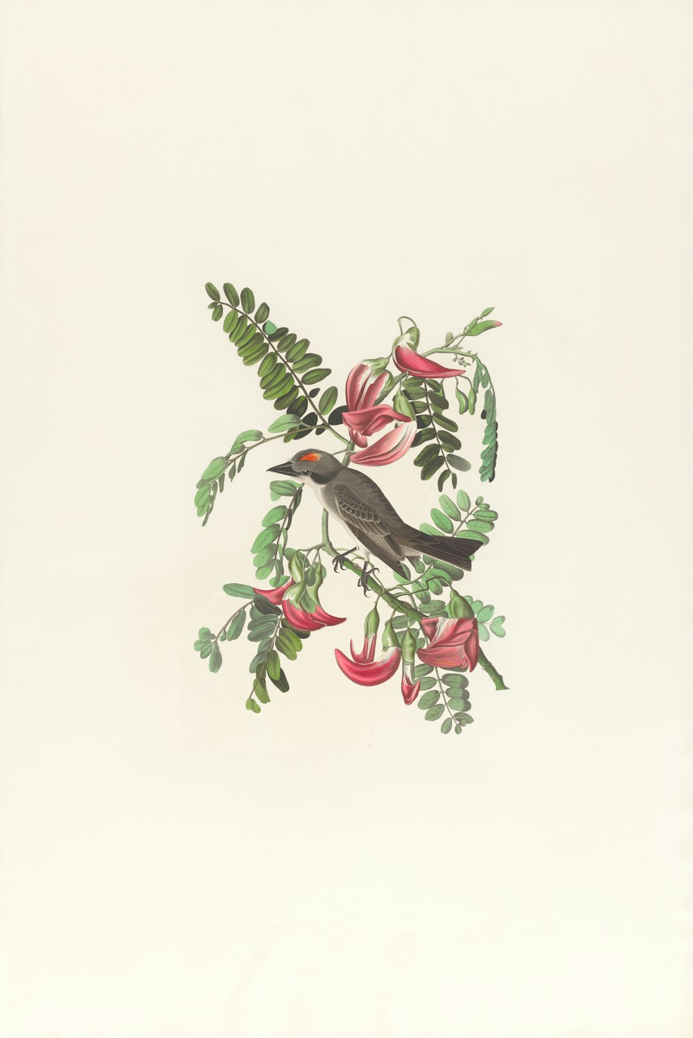 eine Zeichnung eines Vogels, der auf einem Zweig mit Blumen sitzt