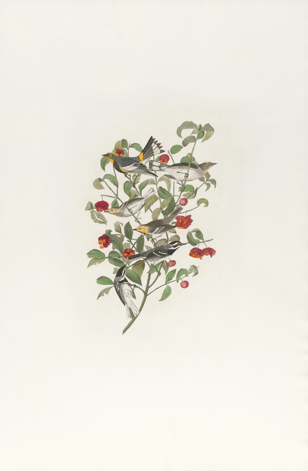 un dipinto di uccelli su un ramo con bacche rosse
