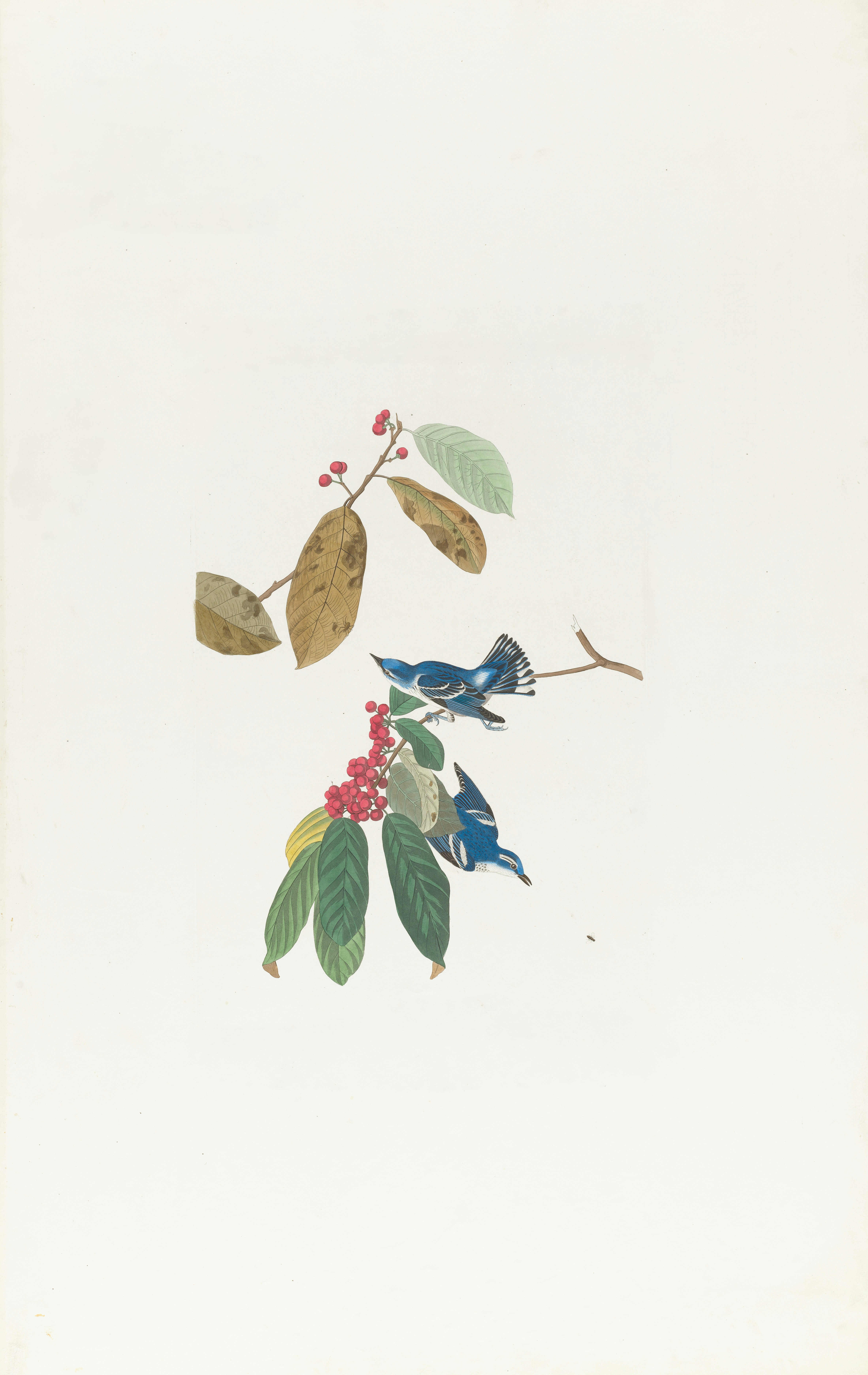 Photo by bostonpubliclibrary