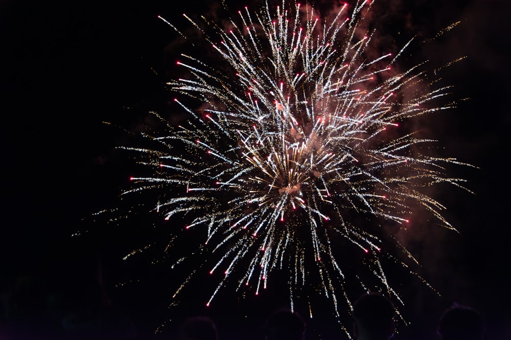 a large fireworks is lit up in the night sky