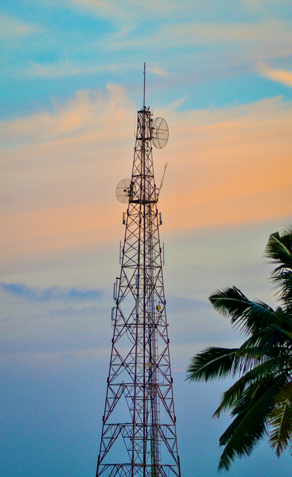 a very tall tower sitting next to a palm tree