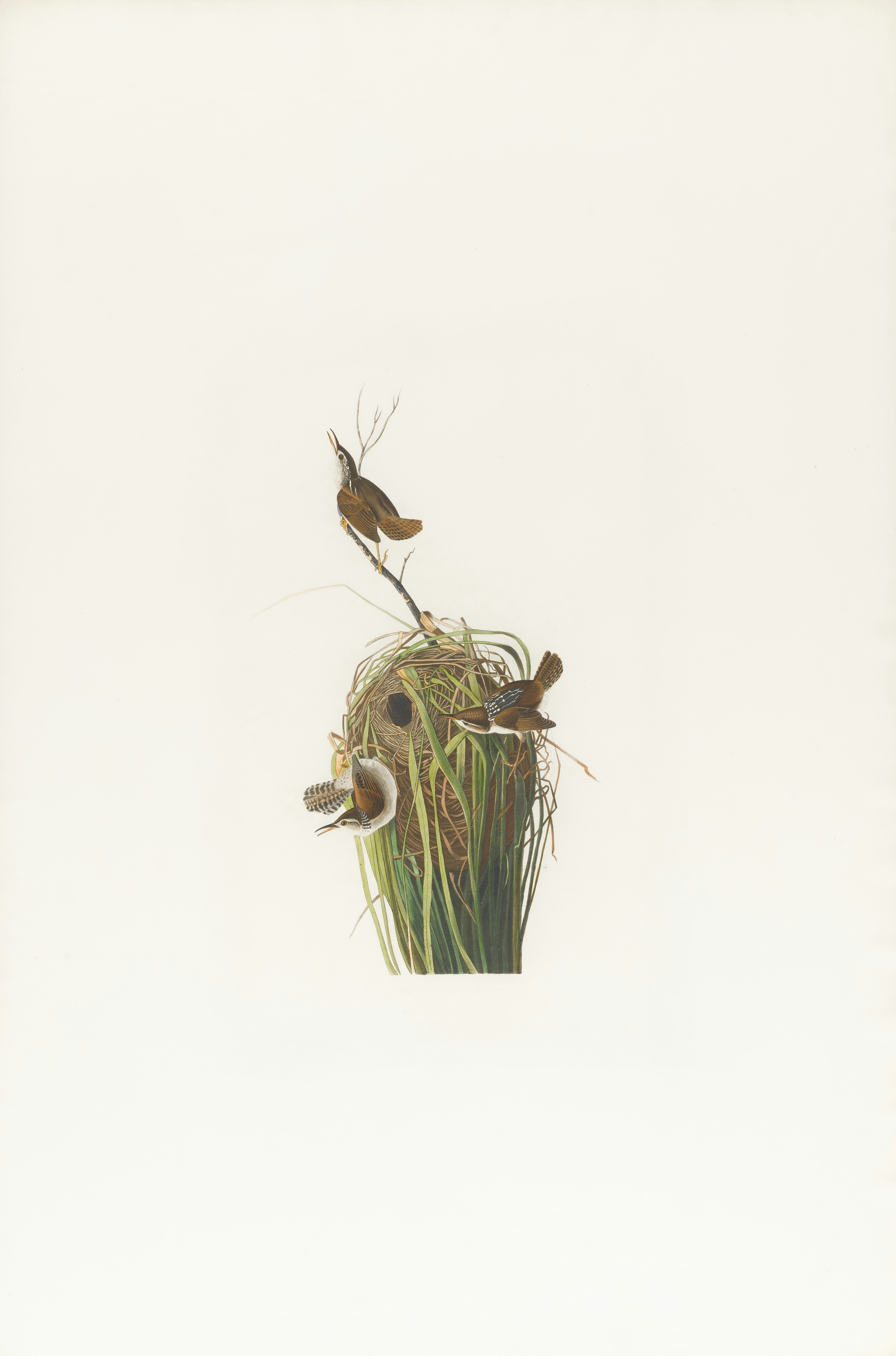 Photo by bostonpubliclibrary