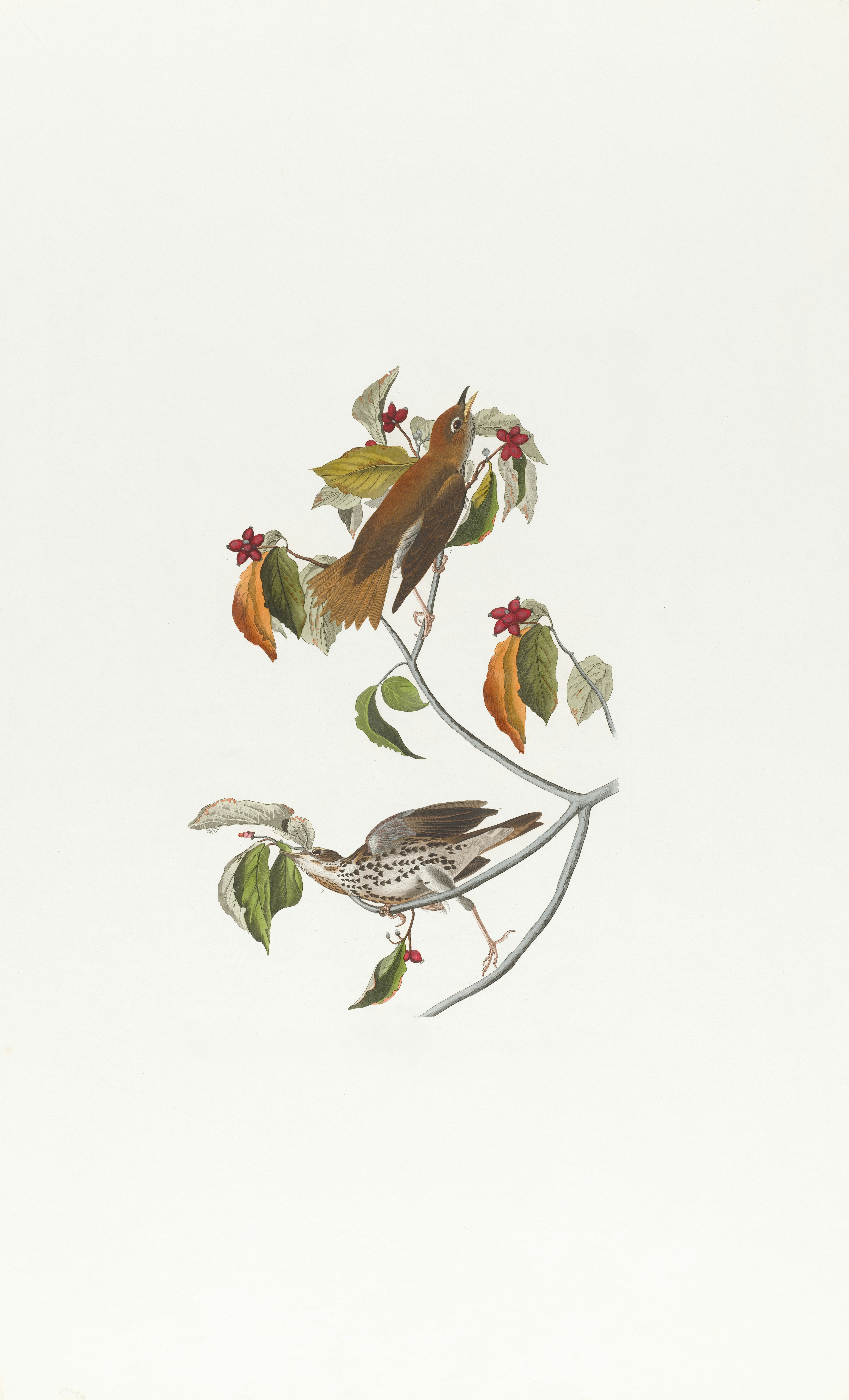 Photo by bostonpubliclibrary