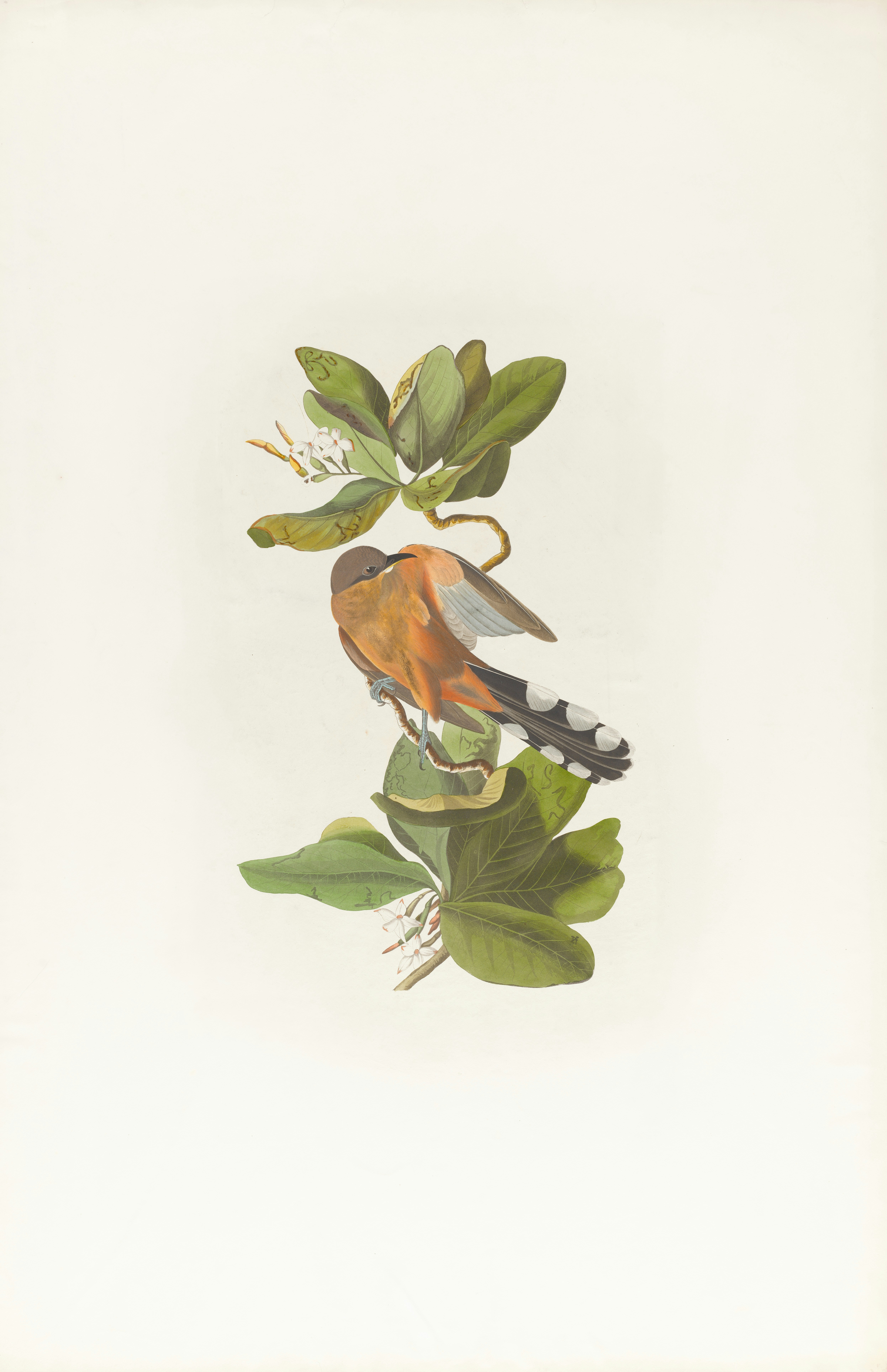 Photo by bostonpubliclibrary