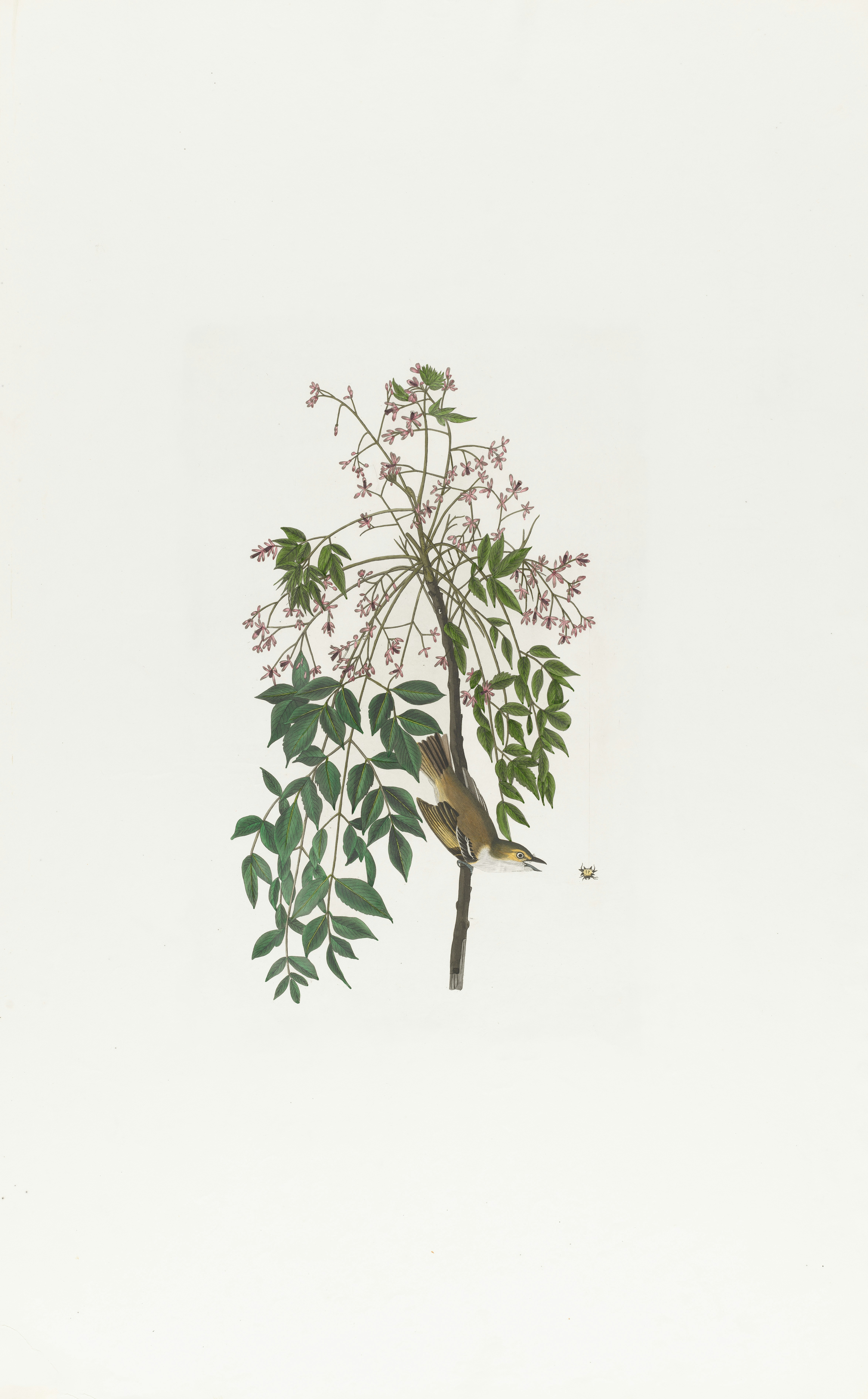 Photo by bostonpubliclibrary