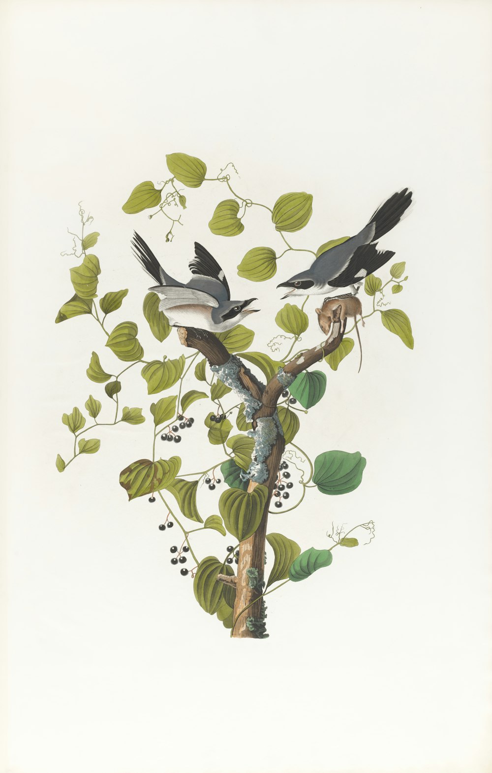 a painting of two birds perched on a tree branch