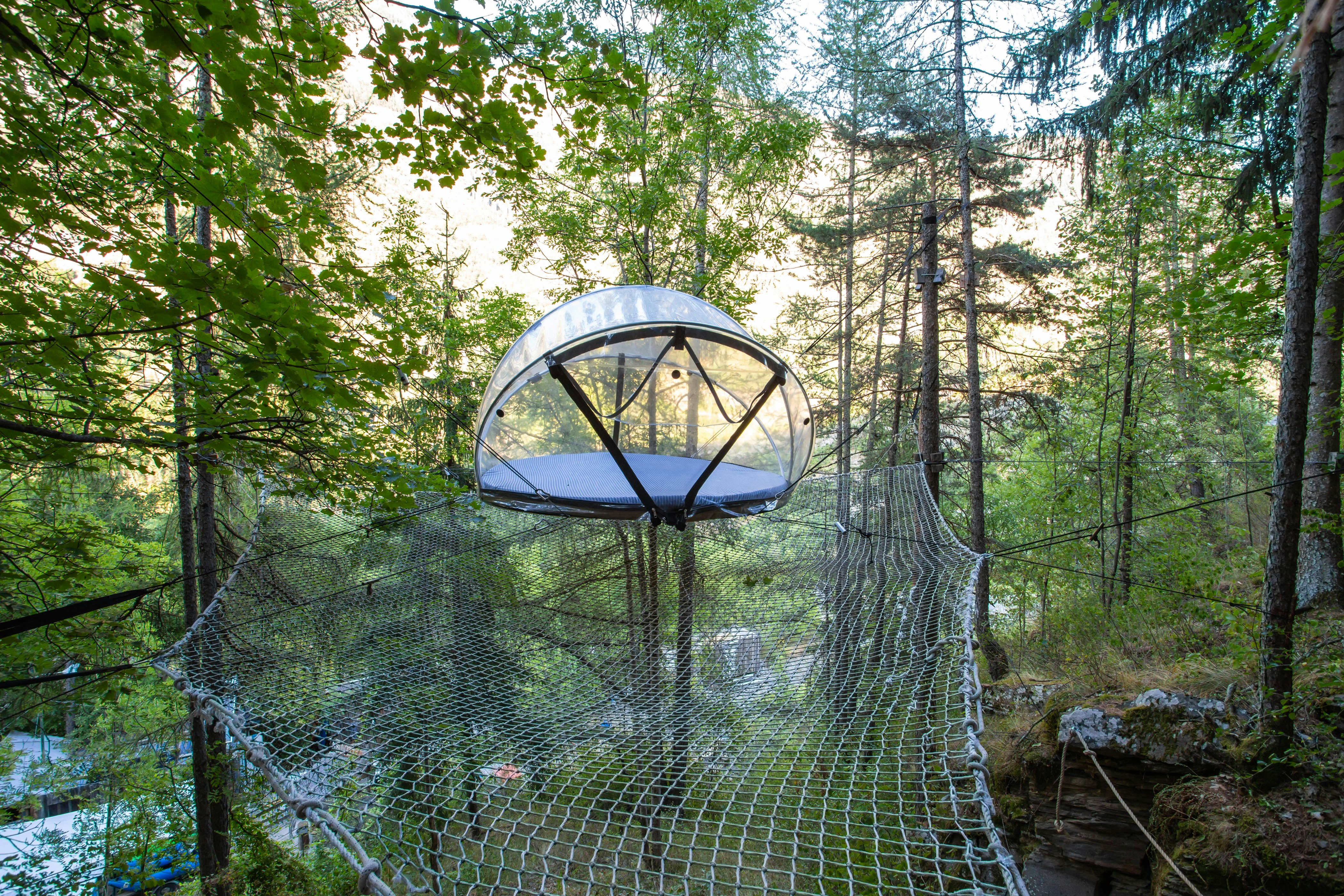 a rope bridge in the middle of a forest