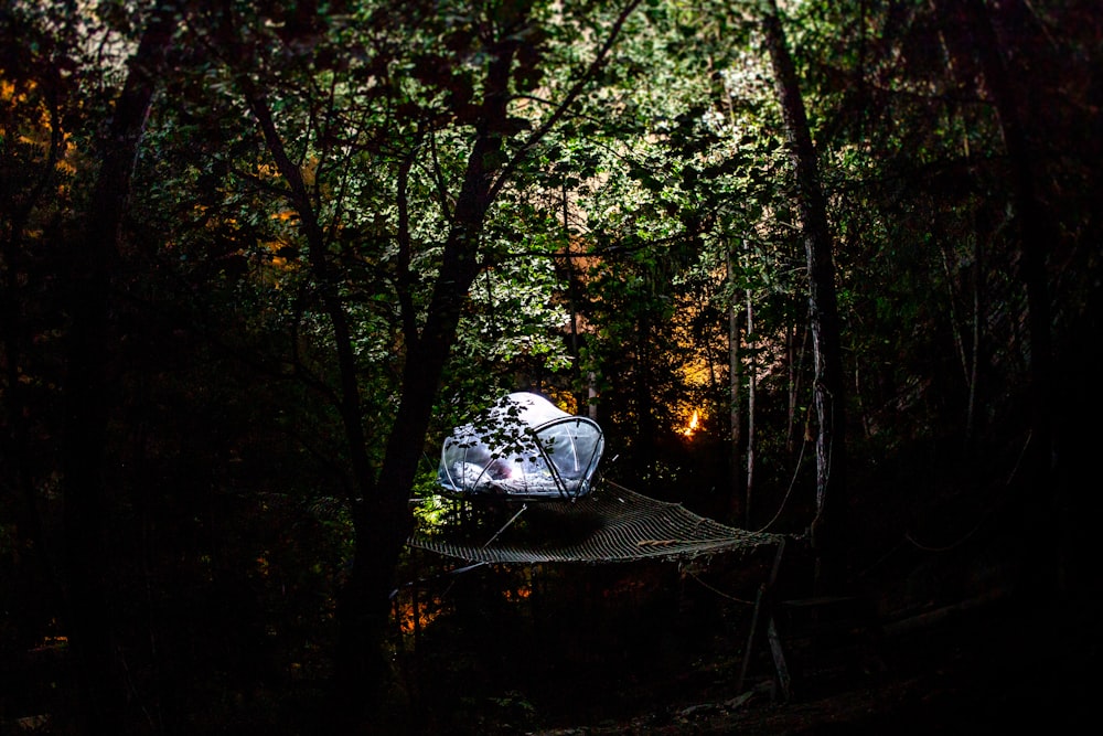 a hammock in the middle of a wooded area