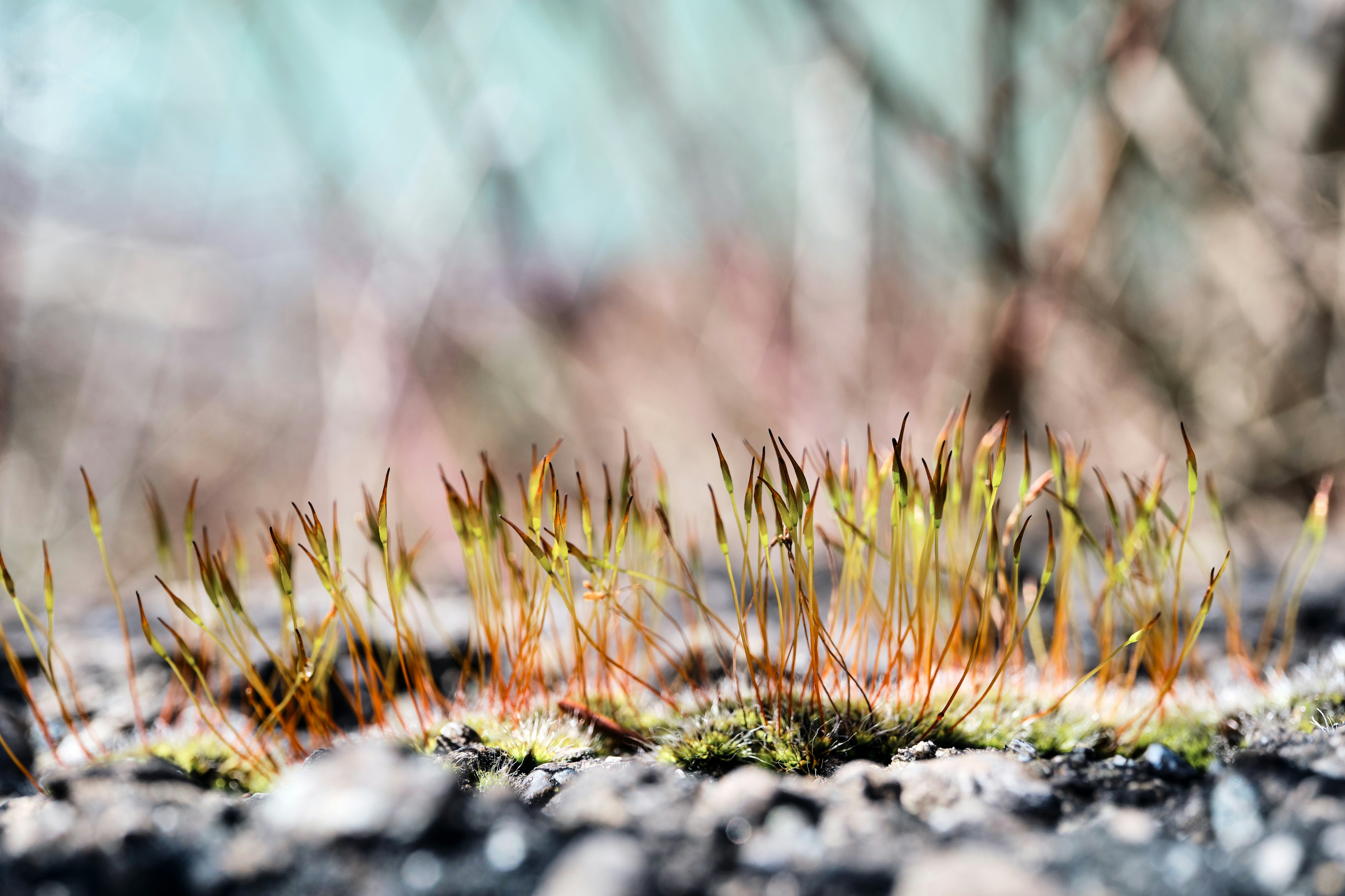 Photo by marcus_ganahl