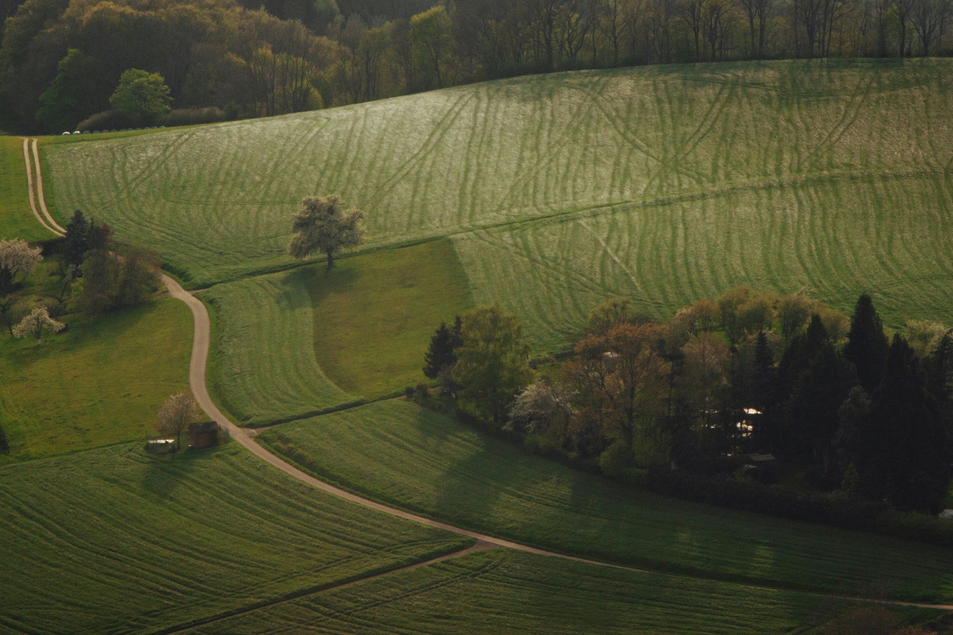 an aerial view of a green field with trees