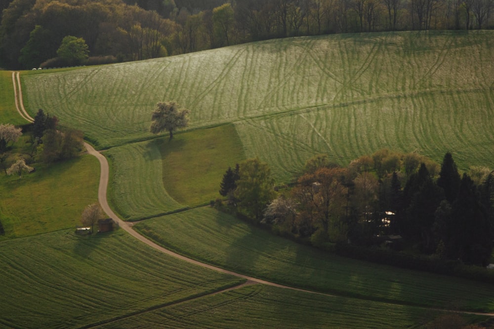 an aerial view of a green field with trees