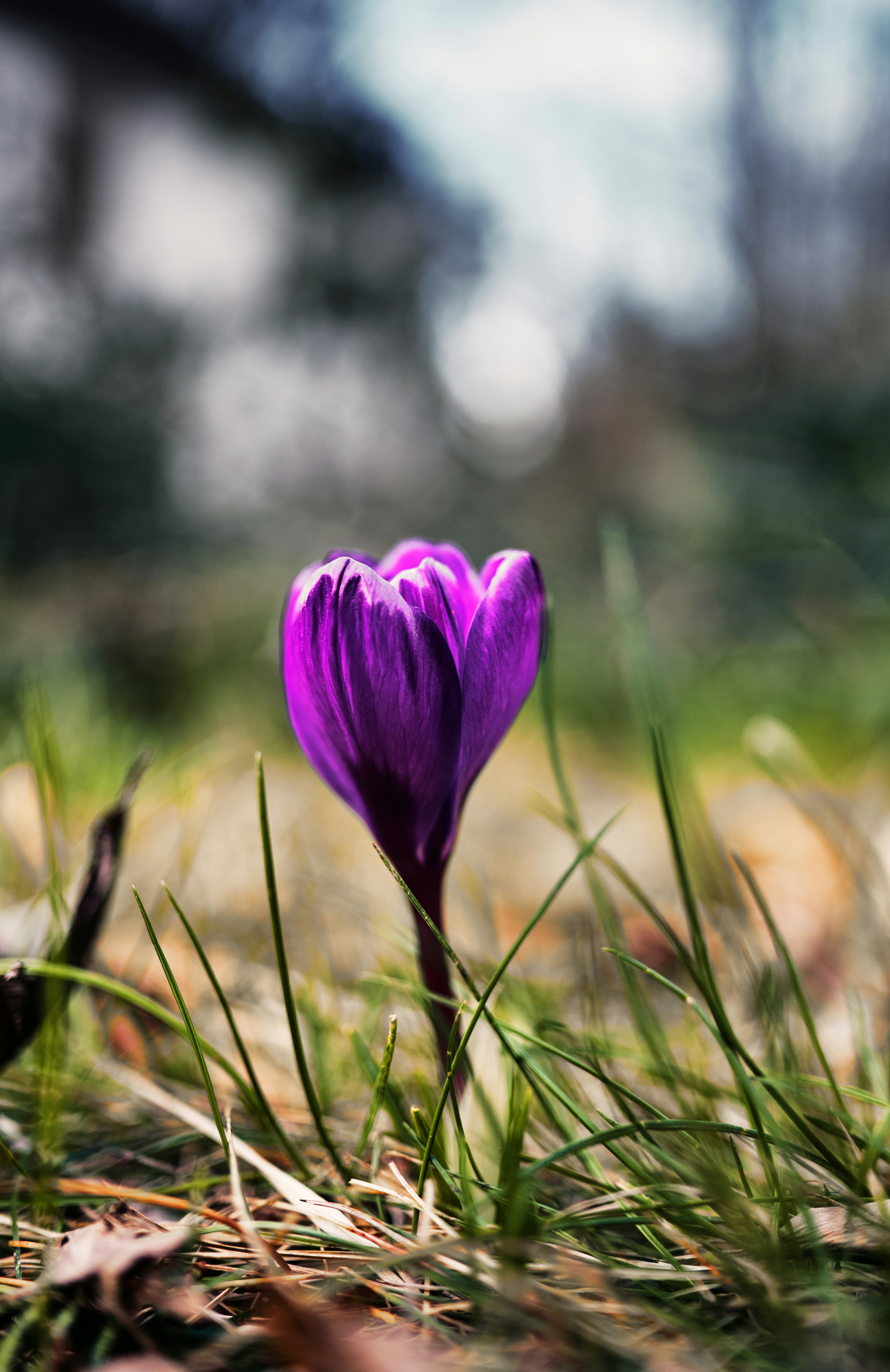 Photo by marcus_ganahl