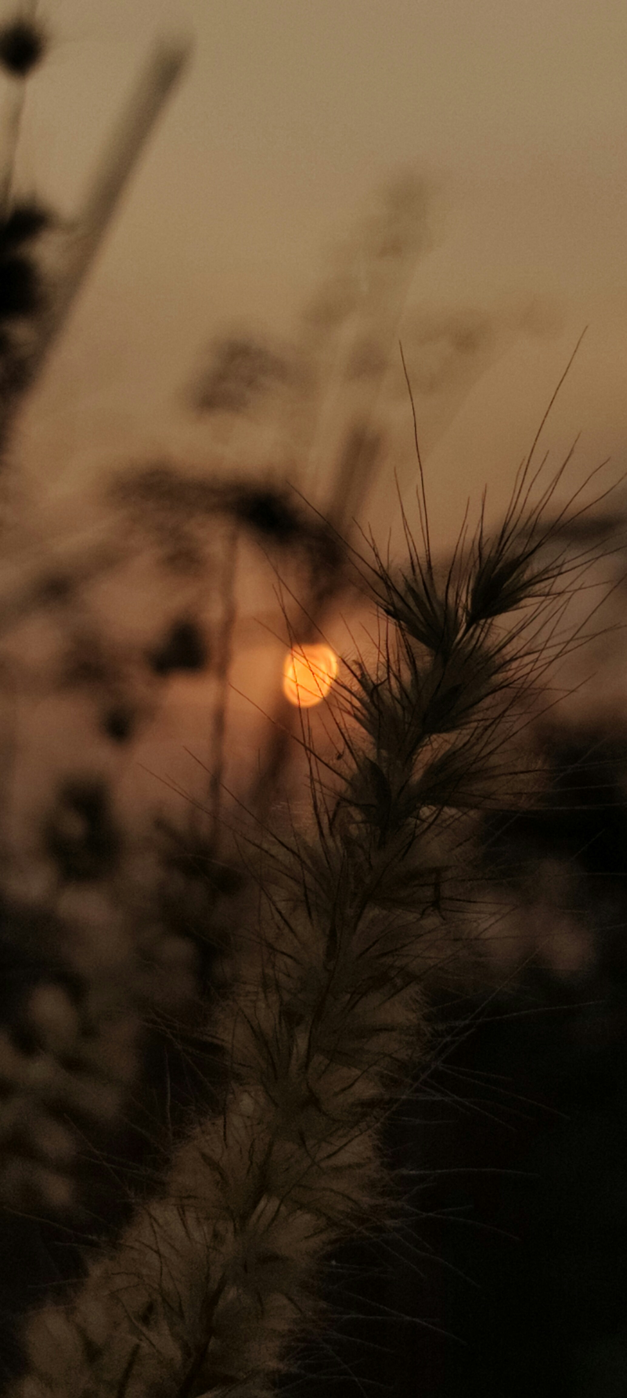 Photo by _odishawalaa___