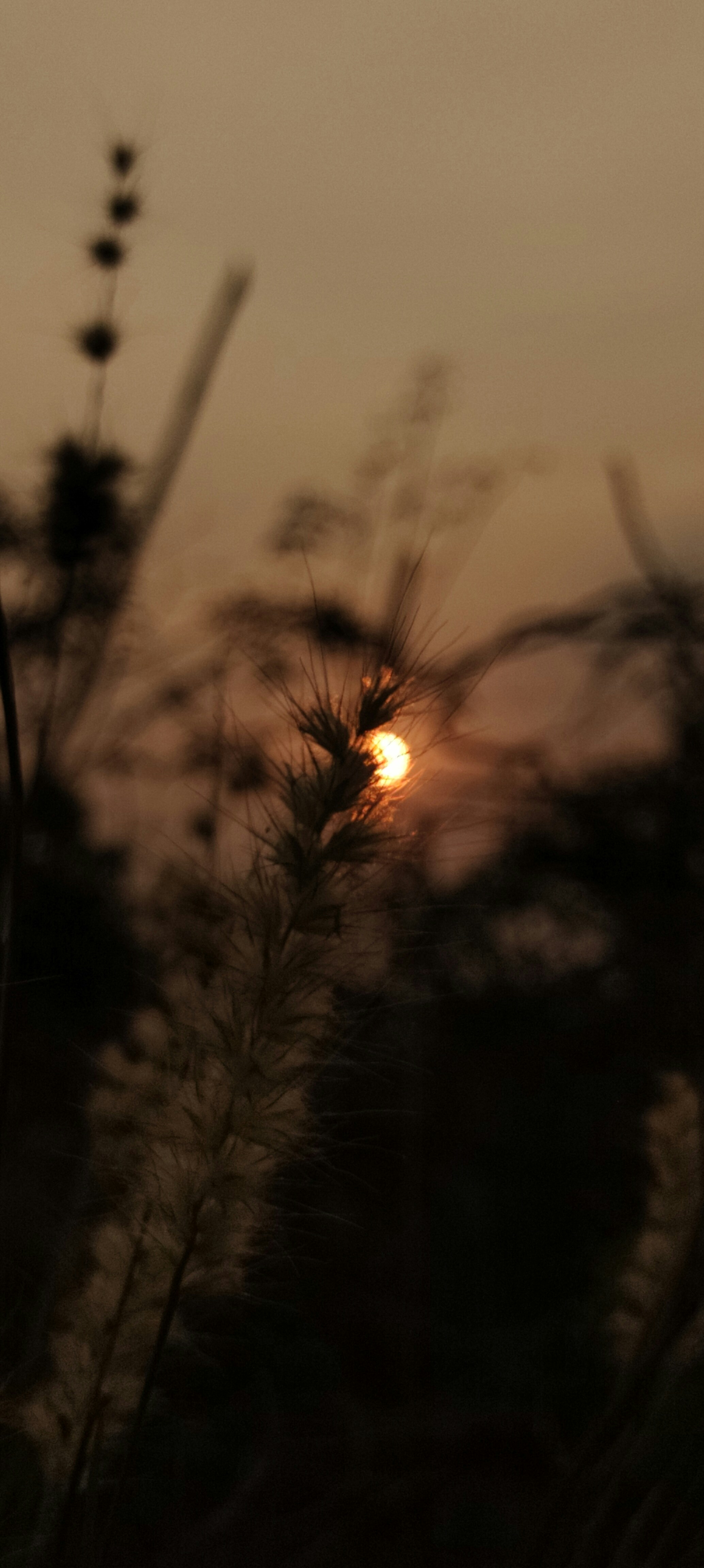 Photo by _odishawalaa___