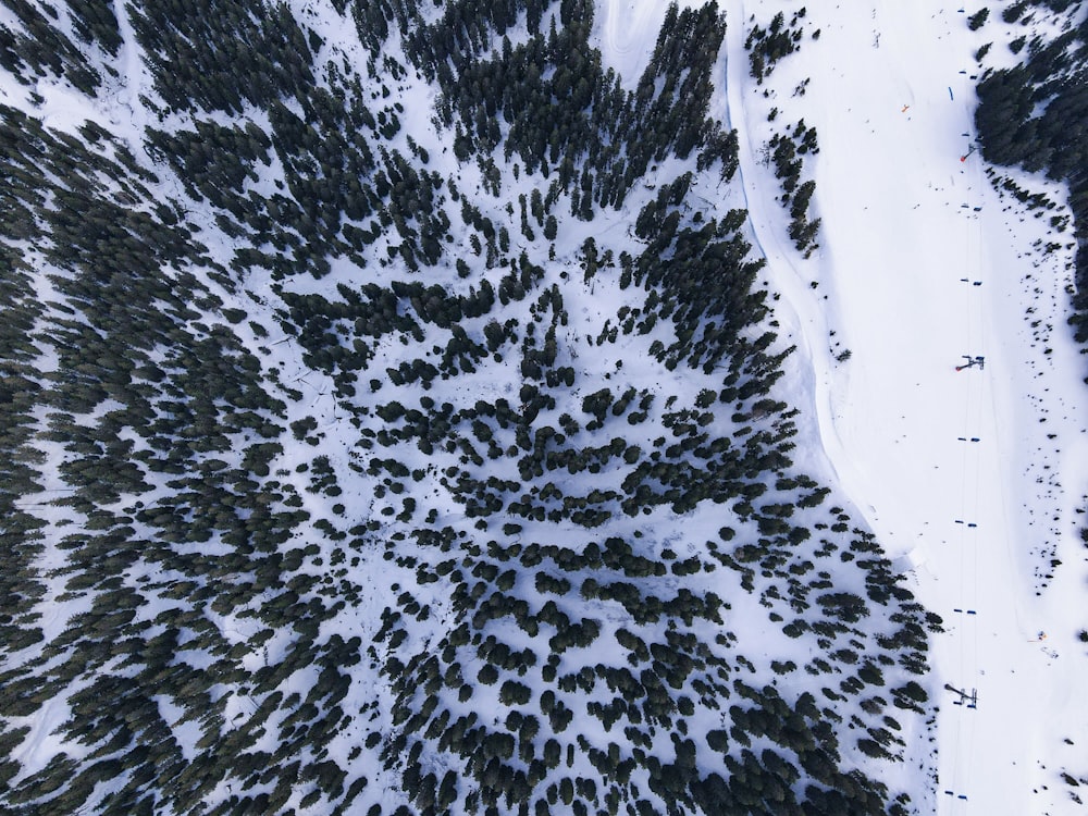 an aerial view of a snow covered forest