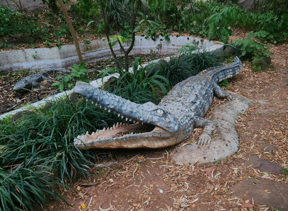a large alligator laying on top of a lush green field