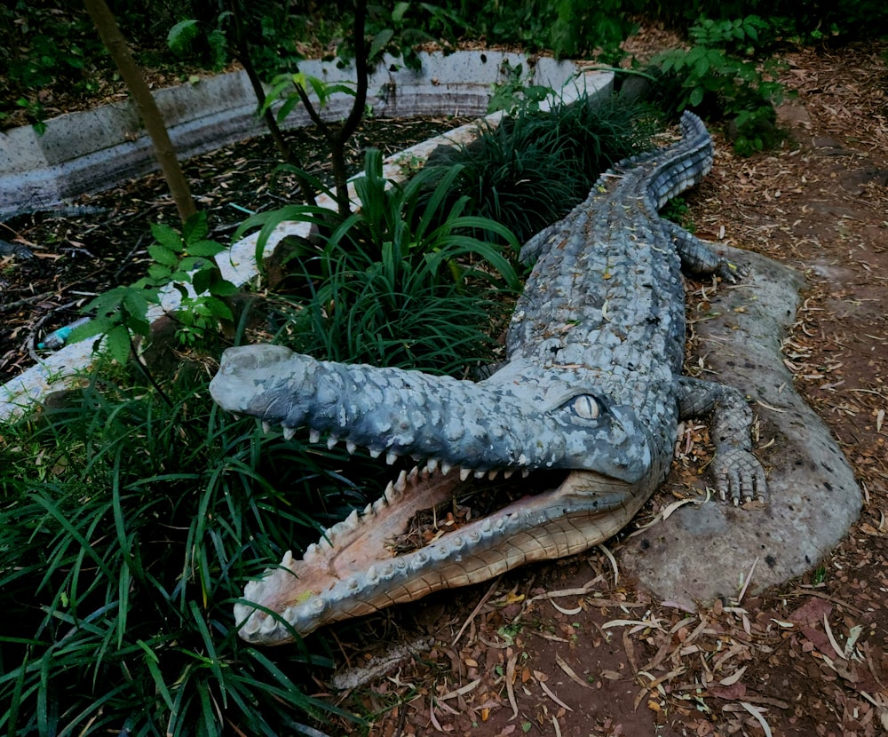 a statue of a crocodile laying on the ground