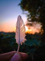 message des anges ou de nos défunts