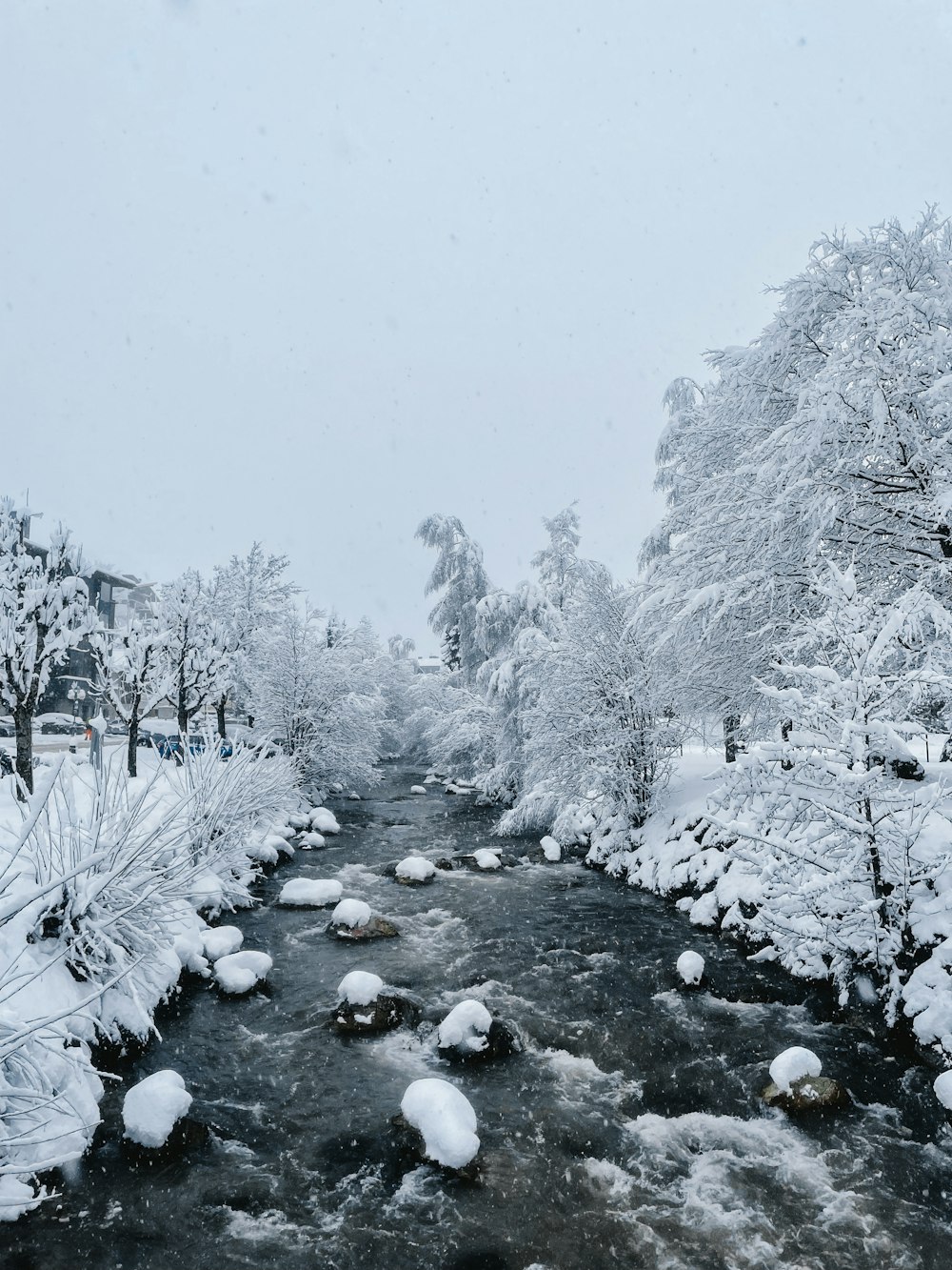 a river running through a snow covered forest