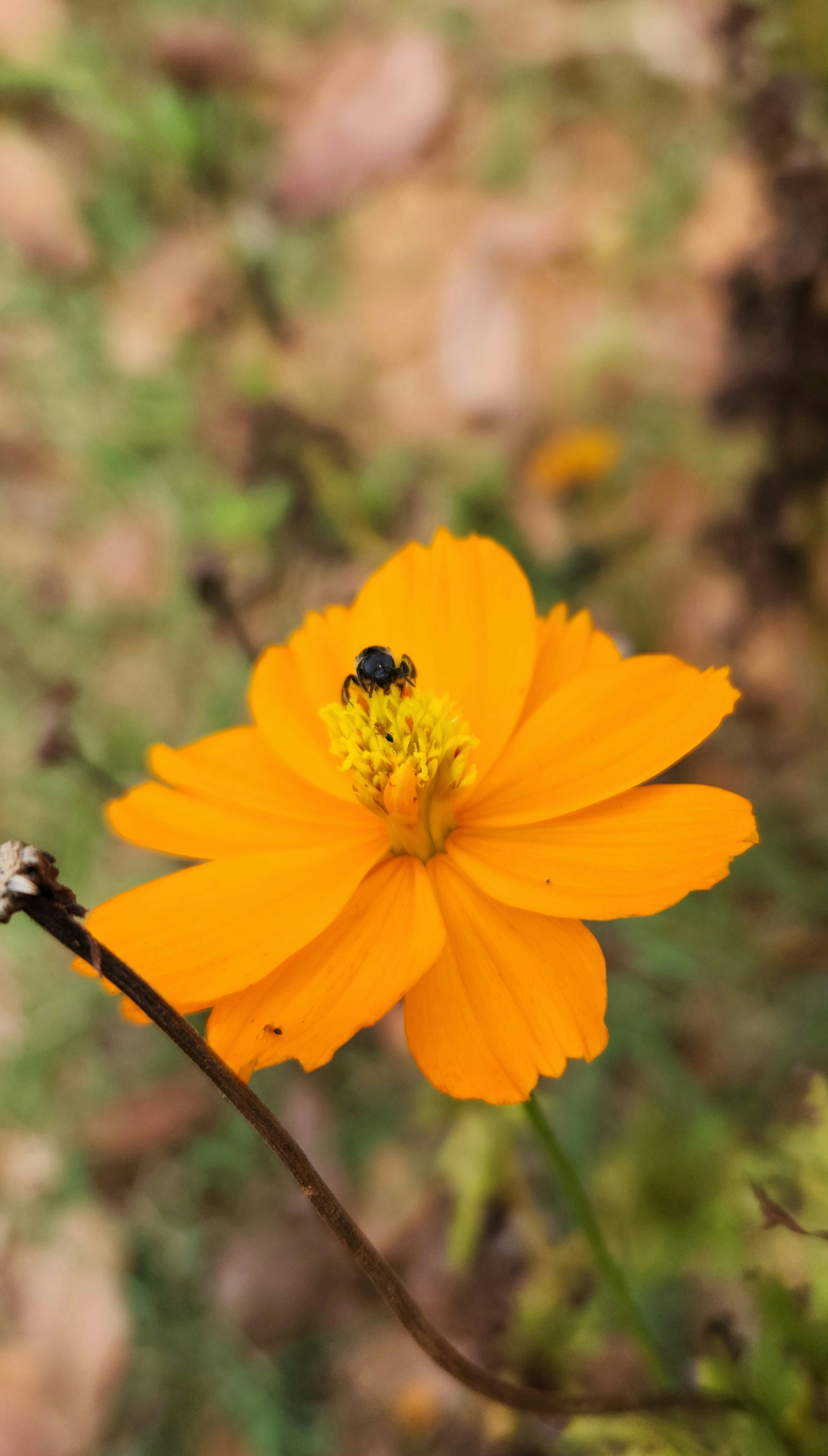 Photo by zoshuacolah