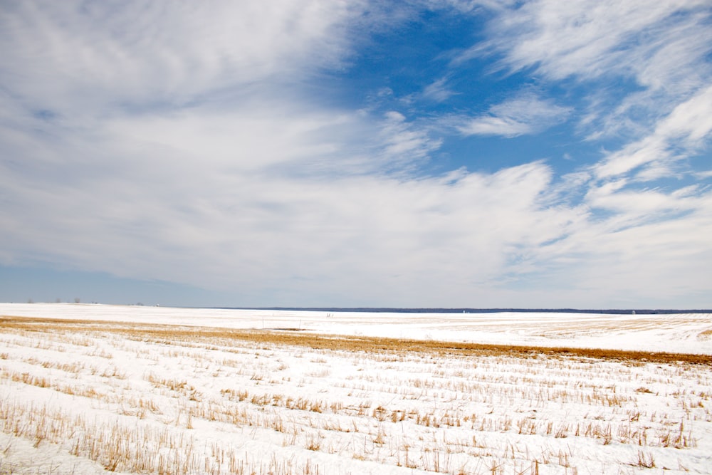 un grande campo aperto coperto di neve sotto un cielo azzurro