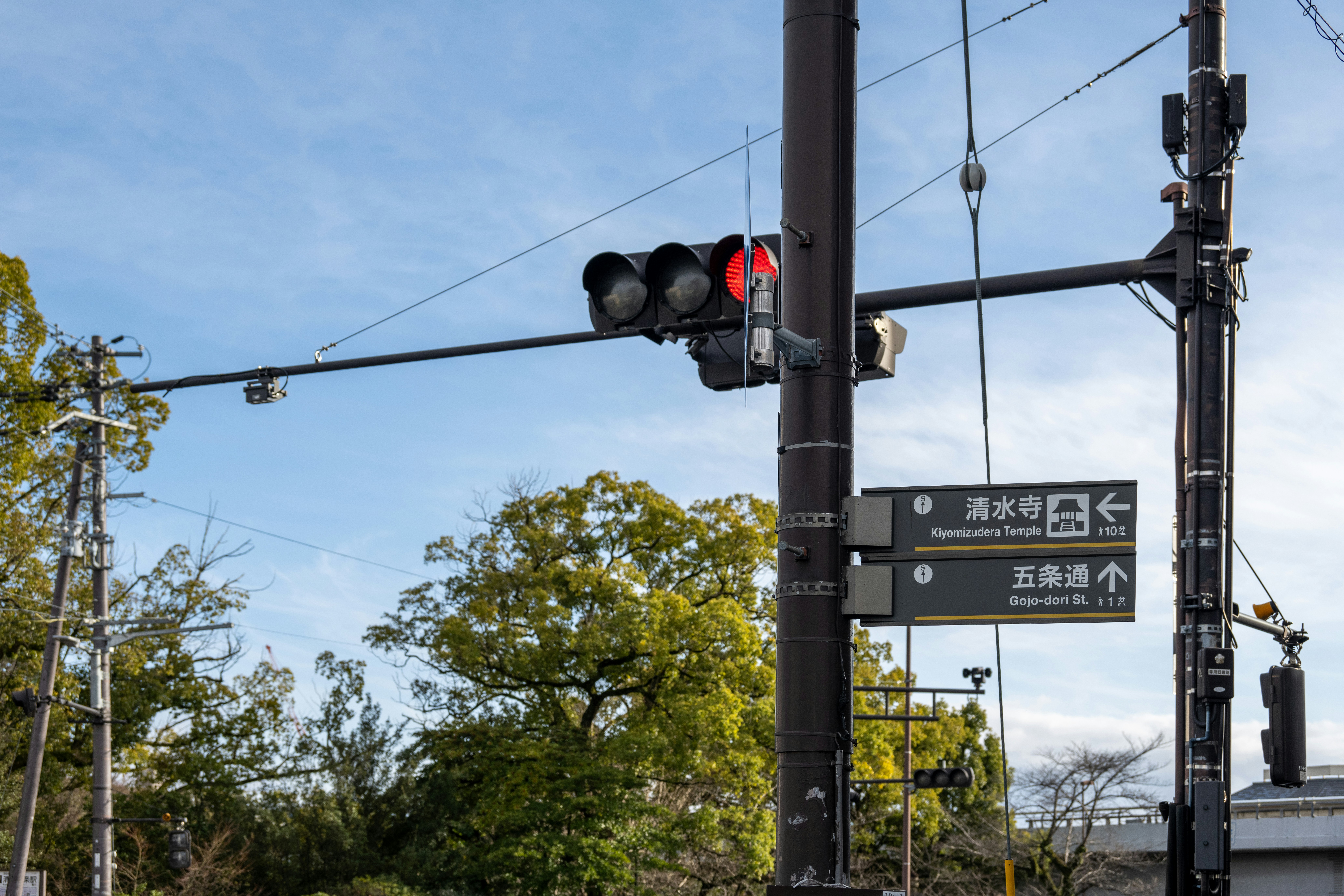 Photo by kaneyoung