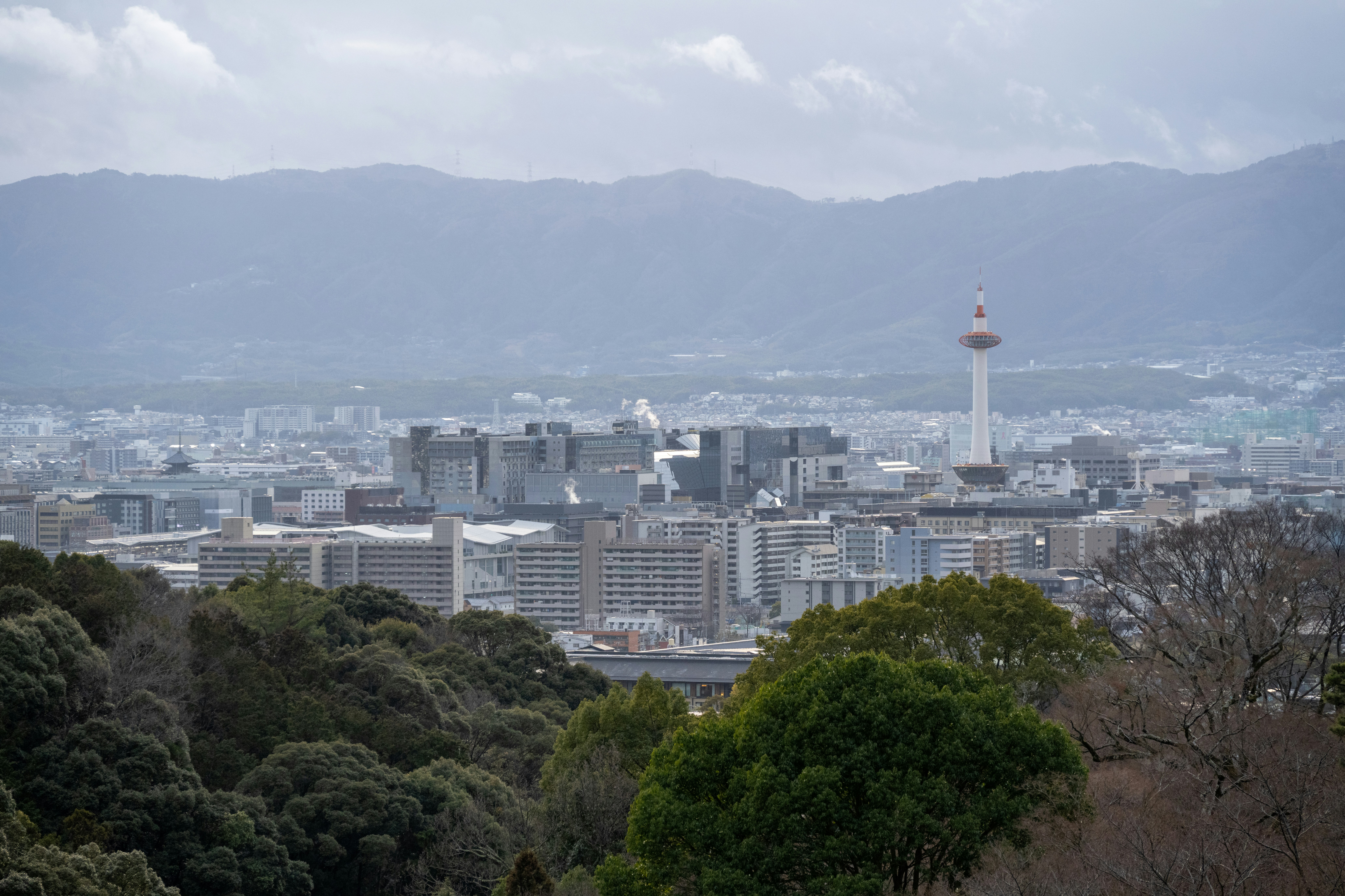 Image by Young Kane via Unsplash