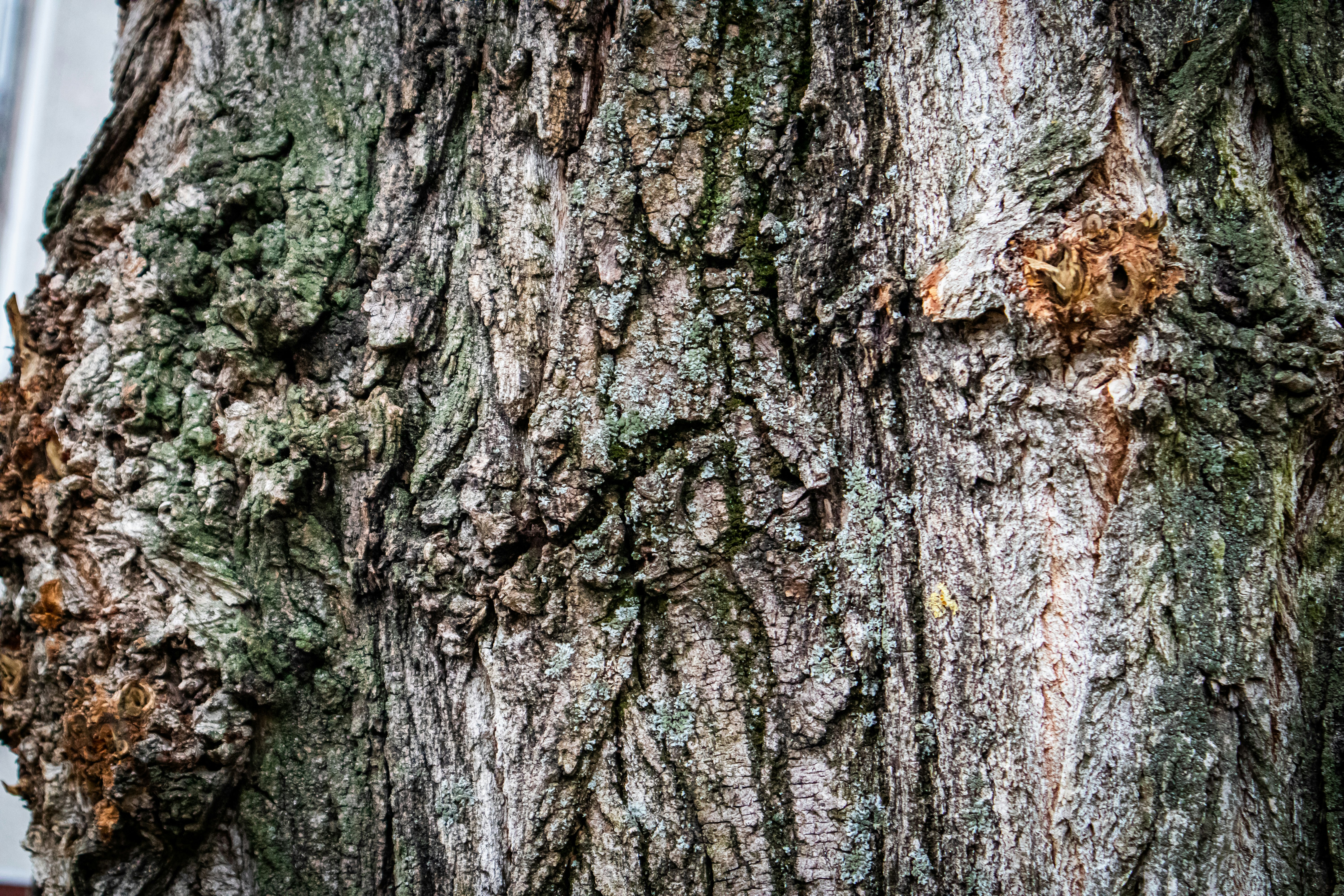 Photo by mugabo_library