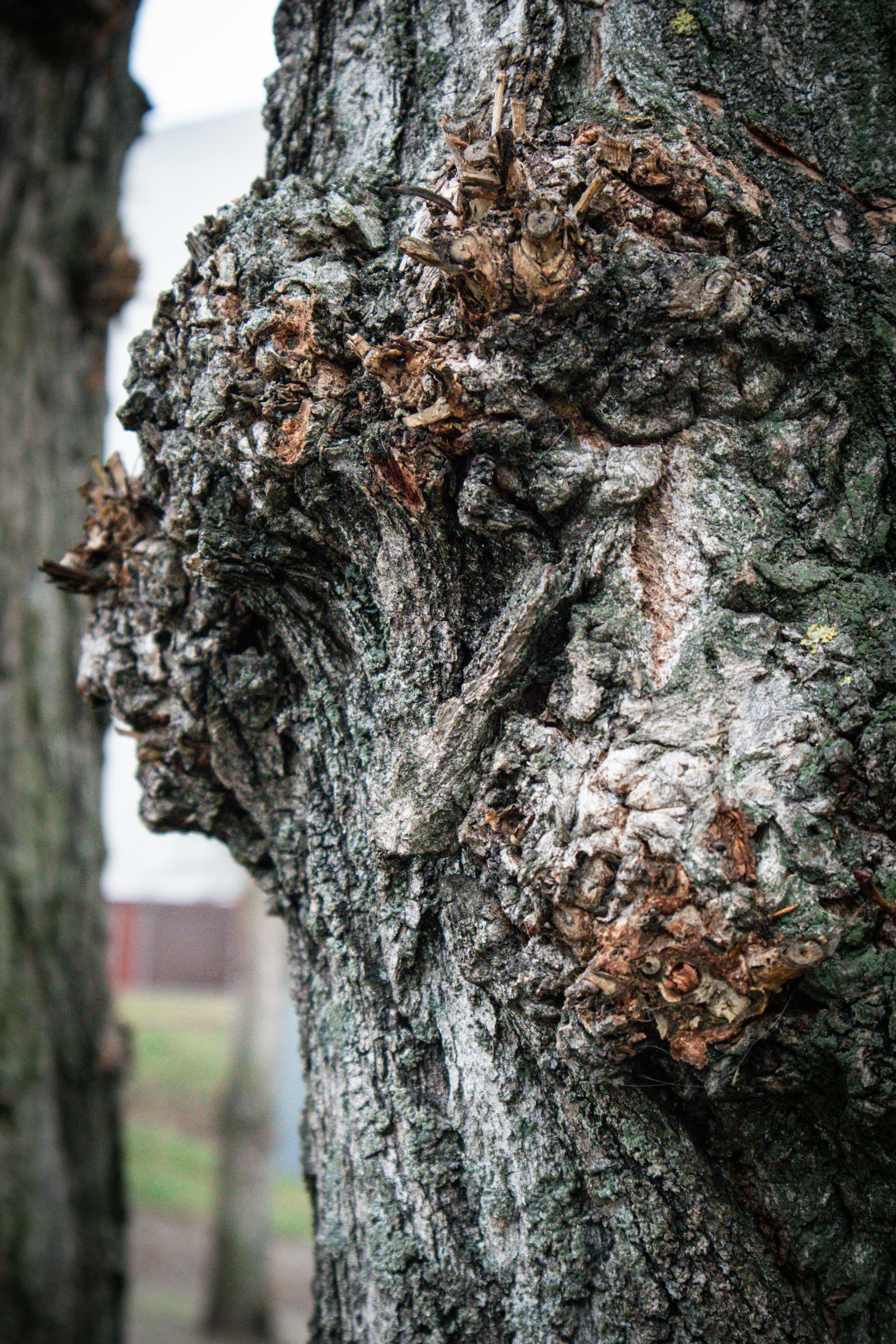 Photo by mugabo_library