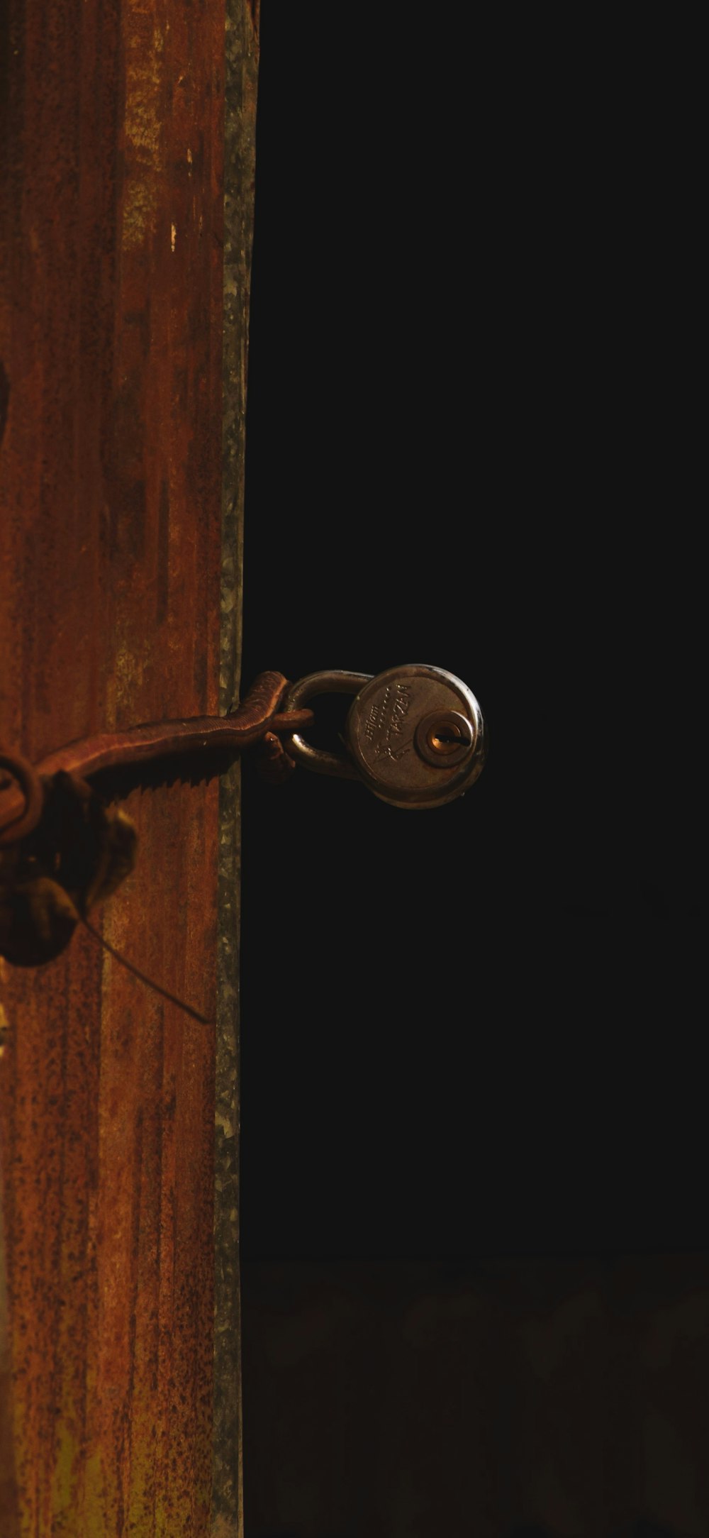 a close up of a door handle on a wooden door