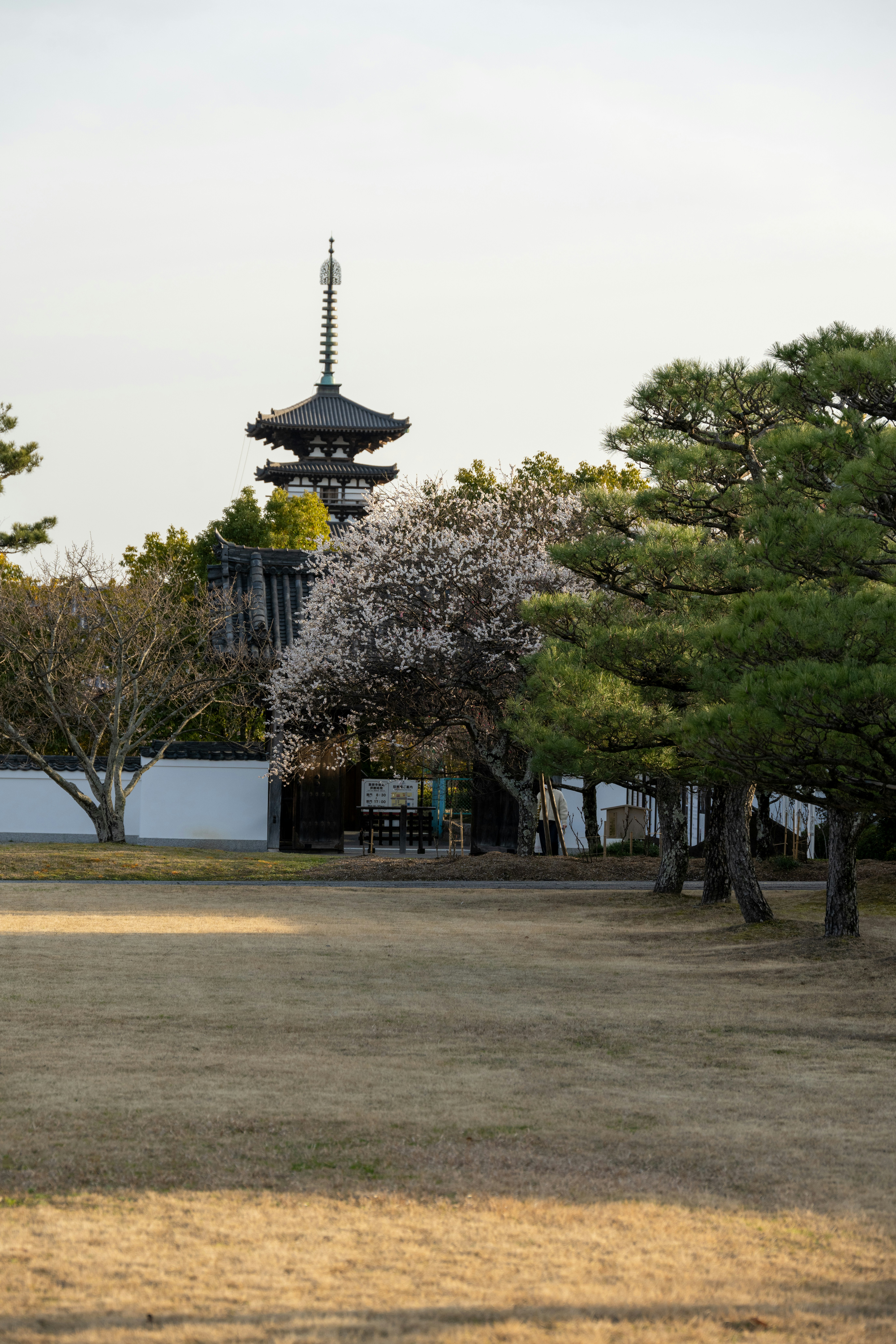 Photo by kaneyoung