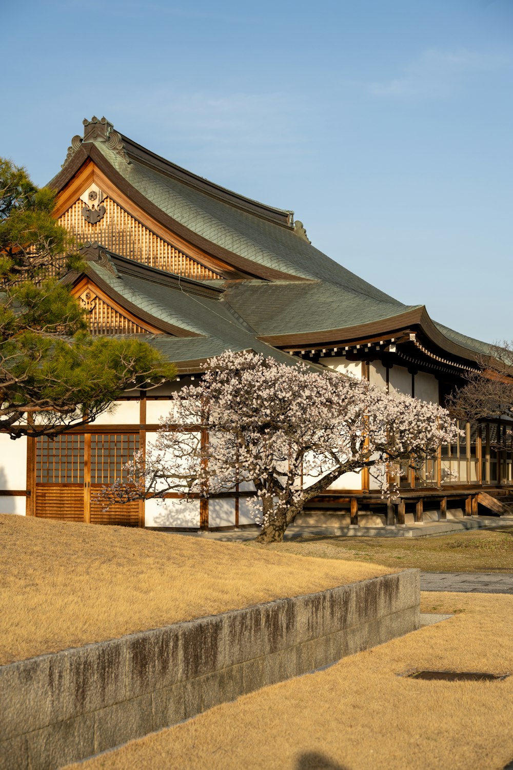 a building with a tree in front of it