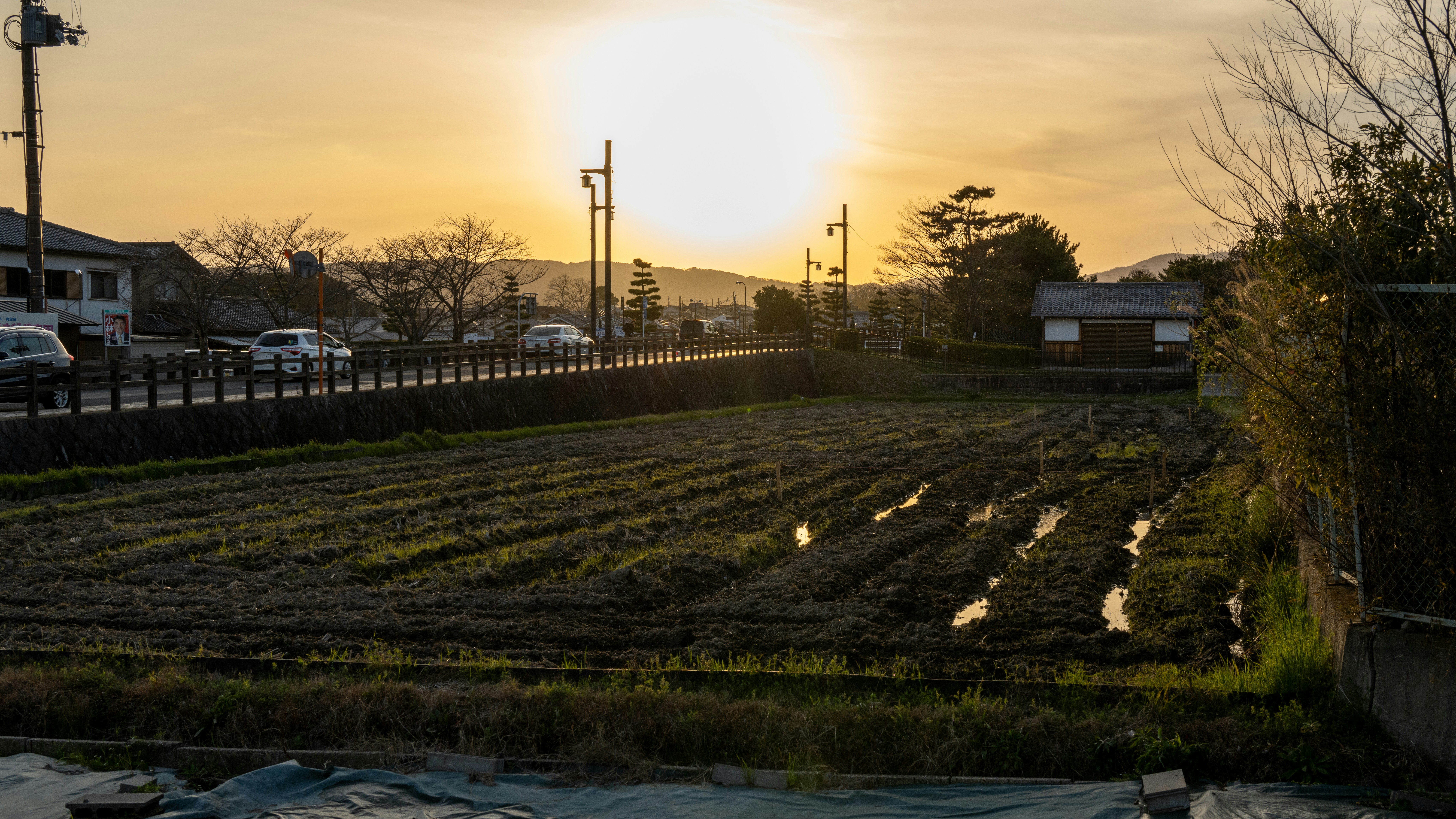 Photo by kaneyoung