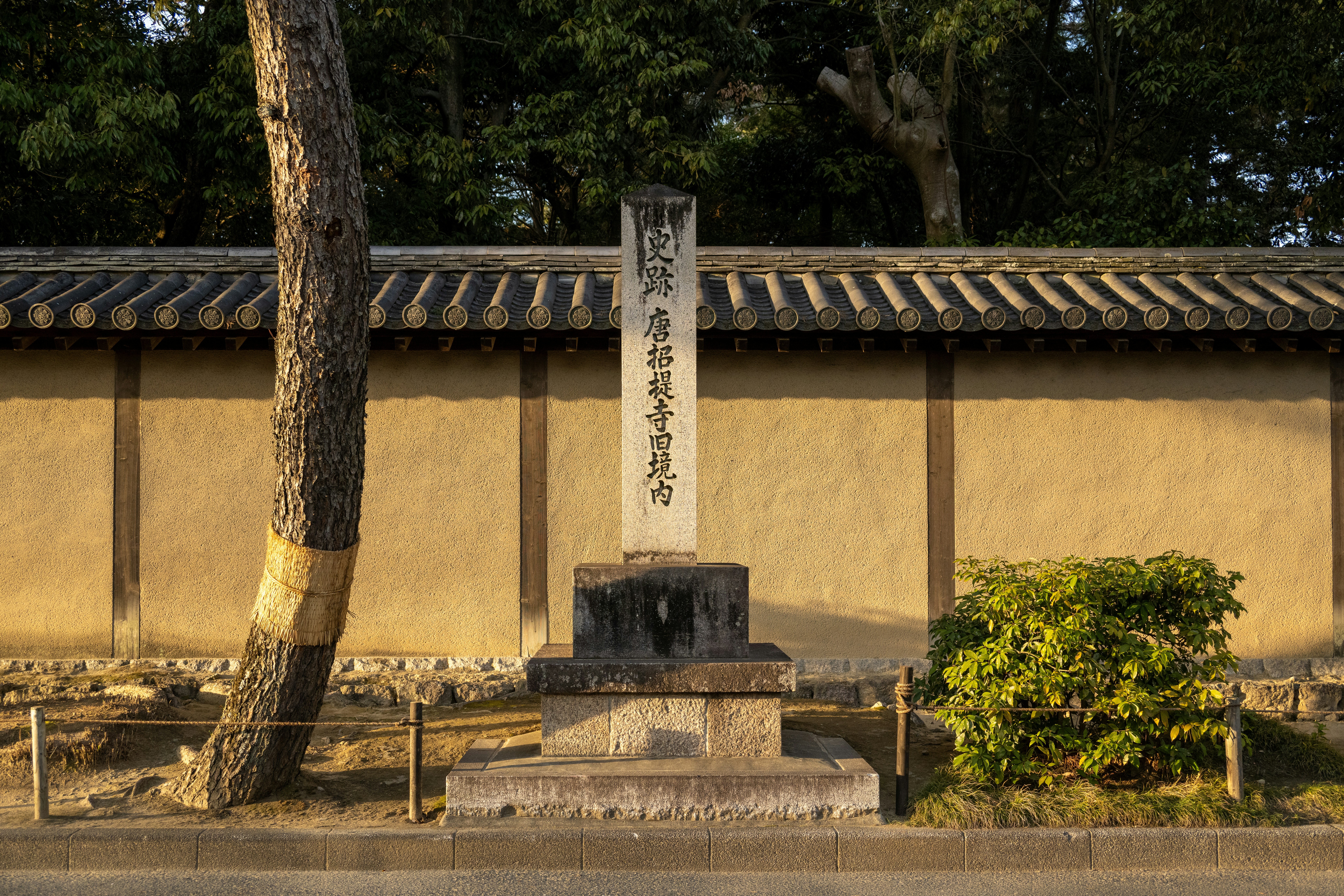 Photo by kaneyoung